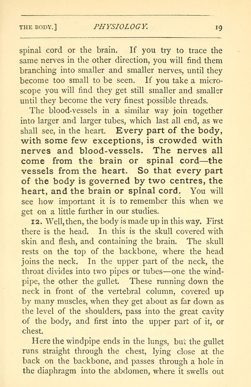 spinal cord or the brain. If you try to trace the same nerves in the other direction, you will find them branching into smaller and smaller nerves, until they become too small to be seen. If you take a micro- scope you will find they get still smaller and smaller until they become the very finest possible threads. The blood-vessels in a similar way join together into larger and larger tubes, which last all end, as we shall see, in the heart. Every part of the body, with some few exceptions, is crowded with nerves and blood-vessels. The nerves all come from the brain or spinal cord—the vessels from the heart. So that every part of the body is governed by two centres, the heart, and the brain or spinal cord. You will see how important it is to remember this when we get on a little further in our studies. 12. Well, then, the body is made up in this way. First there is the head. In this is the skull covered with skin and flesh, and containing the brain. The skull rests on the top of the backbone, where the head joins the neck. In the upper part of the neck, the throat divides into two pipes or tubes—one the wind- pipe, the other the gullet. These running down the neck in front of the vertebral column, covered up by many muscles, when they get about as far down as the level of the shoulders, pass into the great cavity of the body, and first into the upper part of it, or chest. Here the windpipe ends in the lungs, but the gullet runs straight through the chest, lying close at the back on the backbone, and passes through a hole in the diaphragm into the abdomen, where it swells out
