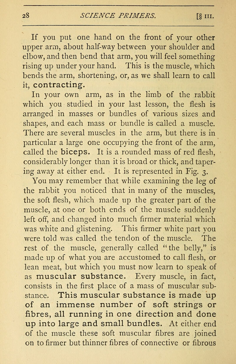 If you put one hand on the front of your other upper arm, about half-way between your shoulder and elbow, and then bend that arm, you will feel something rising up under your hand. This is the muscle, which bends the arm, shortening, or, as we shall learn to call it, contracting. In your own arm, as in the limb of the rabbit which you studied in your last lesson, the flesh is arranged in masses or bundles of various sizes and shapes, and each mass or bundle is called a muscle. There are several muscles in the arm, but there is in particular a large one occupying the front of the arm, called the biceps. It is a rounded mass of red flesh, considerably longer than it is broad or thick, and taper- ing away at either end. It is represented in Fig. 3. You may remember that while examining the leg of the rabbit you noticed that in many of the muscles, the soft flesh, which made up the greater part of the muscle, at one or both ends of the muscle suddenly left off, and changed into much firmer material which was white and glistening. This firmer white part you were told was called the tendon of the muscle. The rest of the muscle, generally called the belly, is made up of what you are accustomed to call flesh, or lean meat, but which you must now learn to speak of as muscular substance. Every muscle, in fact, consists in the first place of a mass of muscular sub- stance. This muscular substance is made up of an immense number of soft strings or fibres, all running in one direction and done up into large and small bundles. At either end of the muscle these soft muscular fibres are joined on to firmer but thinner fibres of connective or fibrous