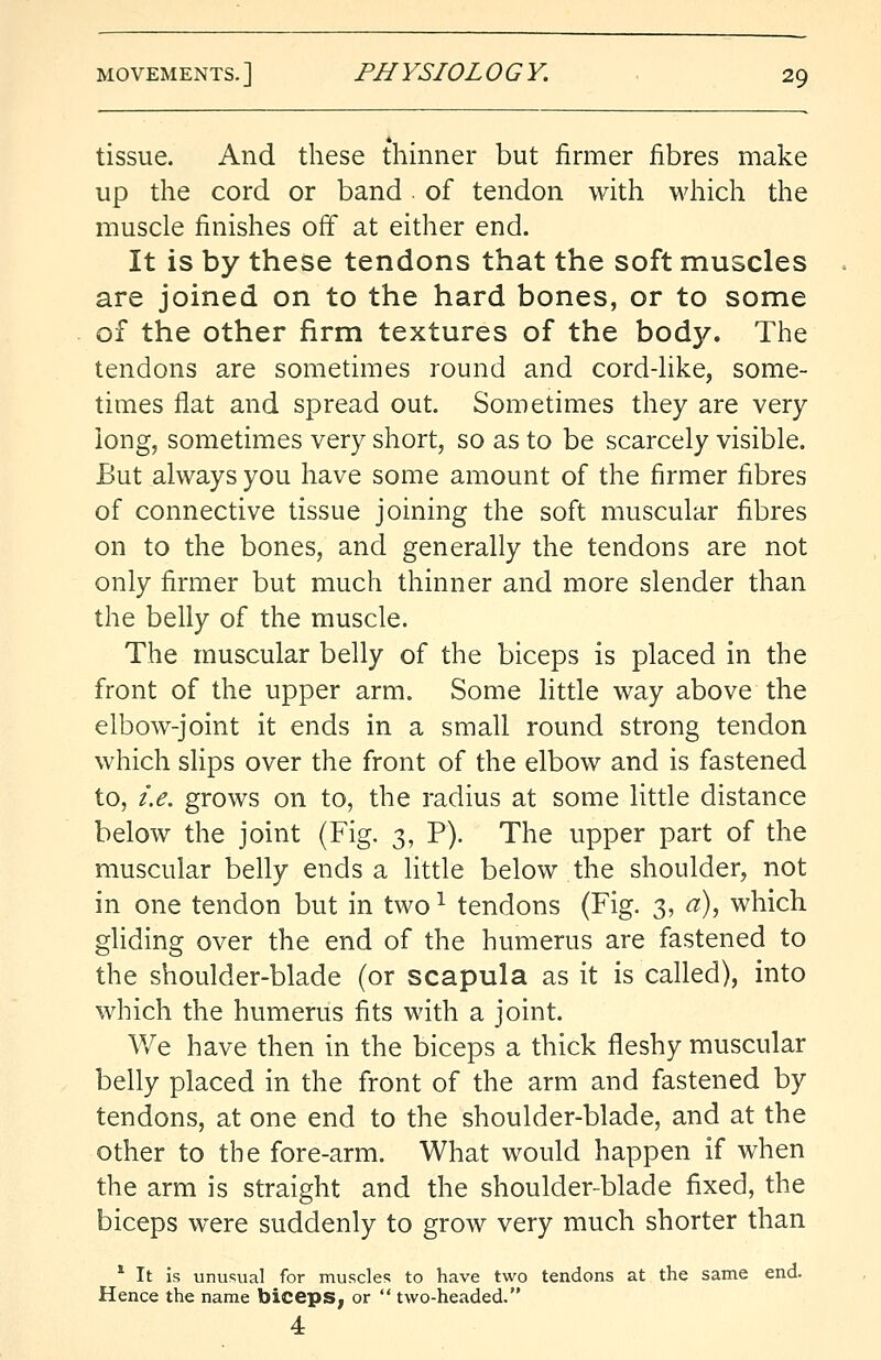 tissue. And these thinner but firmer fibres make up the cord or band of tendon with which the muscle finishes off at either end. It is by these tendons that the soft muscles are joined on to the hard bones, or to some of the other firm textures of the body. The tendons are sometimes round and cord-like, some- times flat and spread out. Sometimes they are very long, sometimes very short, so as to be scarcely visible. But always you have some amount of the firmer fibres of connective tissue joining the soft muscular fibres on to the bones, and generally the tendons are not only firmer but much thinner and more slender than the belly of the muscle. The muscular belly of the biceps is placed in the front of the upper arm. Some little way above the elbow-joint it ends in a small round strong tendon which slips over the front of the elbow and is fastened to, i.e. grows on to, the radius at some little distance below the joint (Fig. 3, P). The upper part of the muscular belly ends a little below the shoulder, not in one tendon but in two1 tendons (Fig. 3, a), which gliding over the end of the humerus are fastened to the shoulder-blade (or scapula as it is called), into which the humerus fits with a joint. We have then in the biceps a thick fleshy muscular belly placed in the front of the arm and fastened by tendons, at one end to the shoulder-blade, and at the other to the fore-arm. What would happen if when the arm is straight and the shoulder-blade fixed, the biceps were suddenly to grow very much shorter than 1 It is unusual for muscles to have two tendons at the same end. Hence the name biceps, or  two-headed. 4