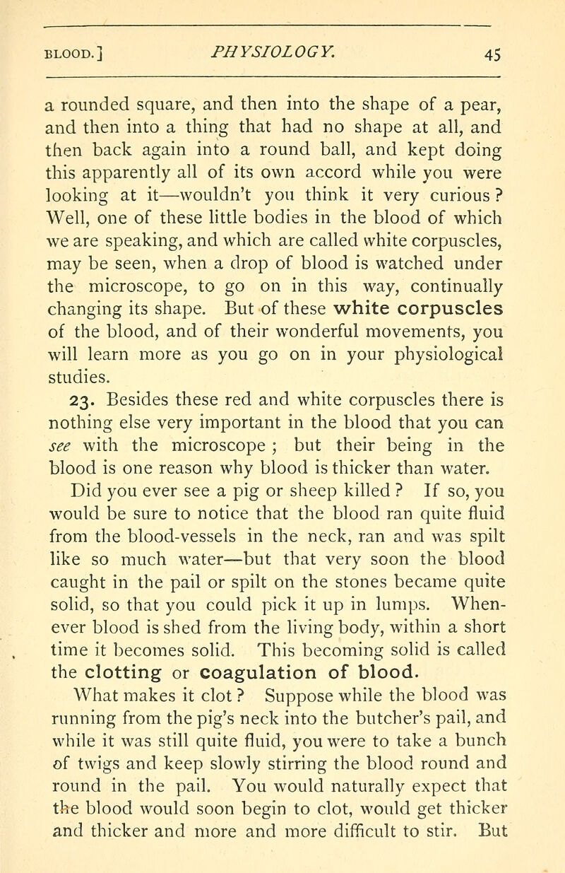a rounded square, and then into the shape of a pear, and then into a thing that had no shape at all, and then back again into a round ball, and kept doing this apparently all of its own accord while you were looking at it—wouldn't you think it very curious ? Well, one of these little bodies in the blood of which we are speaking, and which are called white corpuscles, may be seen, when a drop of blood is watched under the microscope, to go on in this way, continually changing its shape. But of these white corpuscles of the blood, and of their wonderful movements, you will learn more as you go on in your physiological studies. 23. Besides these red and white corpuscles there is nothing else very important in the blood that you can see with the microscope ; but their being in the blood is one reason why blood is thicker than water. Did you ever see a pig or sheep killed ? If so, you would be sure to notice that the blood ran quite fluid from the blood-vessels in the neck, ran and was spilt like so much water—but that very soon the blood caught in the pail or spilt on the stones became quite solid, so that you could pick it up in lumps. When- ever blood is shed from the living body, within a short time it becomes solid. This becoming solid is called the clotting or coagulation of blood. What makes it clot ? Suppose while the blood was running from the pig's neck into the butcher's pail, and while it was still quite fluid, you were to take a bunch of twigs and keep slowly stirring the blood round and round in the pail. You would naturally expect that the blood would soon begin to clot, would get thicker and thicker and more and more difficult to stir. But