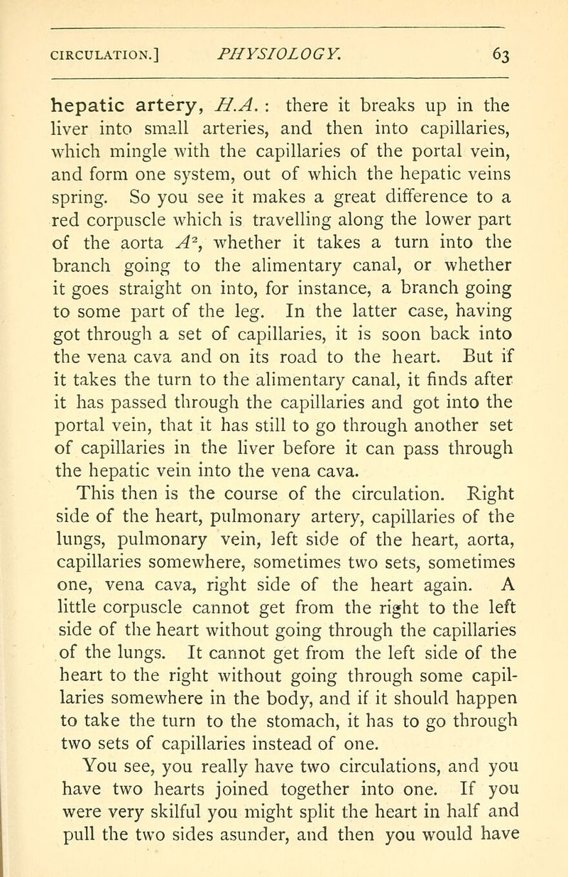 hepatic artery, H.A. : there it breaks up in the liver into small arteries, and then into capillaries, which mingle with the capillaries of the portal vein, and form one system, out of which the hepatic veins spring. So you see it makes a great difference to a red corpuscle which is travelling along the lower part of the aorta A2, whether it takes a turn into the branch going to the alimentary canal, or whether it goes straight on into, for instance, a branch going to some part of the leg. In the latter case, having got through a set of capillaries, it is soon back into the vena cava and on its road to the heart. But if it takes the turn to the alimentary canal, it finds after it has passed through the capillaries and got into the portal vein, that it has still to go through another set of capillaries in the liver before it can pass through the hepatic vein into the vena cava. This then is the course of the circulation. Right side of the heart, pulmonary artery, capillaries of the lungs, pulmonary vein, left side of the heart, aorta, capillaries somewhere, sometimes two sets, sometimes one, vena cava, right side of the heart again. A little corpuscle cannot get from the right to the left side of the heart without going through the capillaries of the lungs. It cannot get from the left side of the heart to the right without going through some capil- laries somewhere in the body, and if it should happen to take the turn to the stomach, it has to go through two sets of capillaries instead of one. You see, you really have two circulations, and you have two hearts joined together into one. If you were very skilful you might split the heart in half and pull the two sides asunder, and then you would have