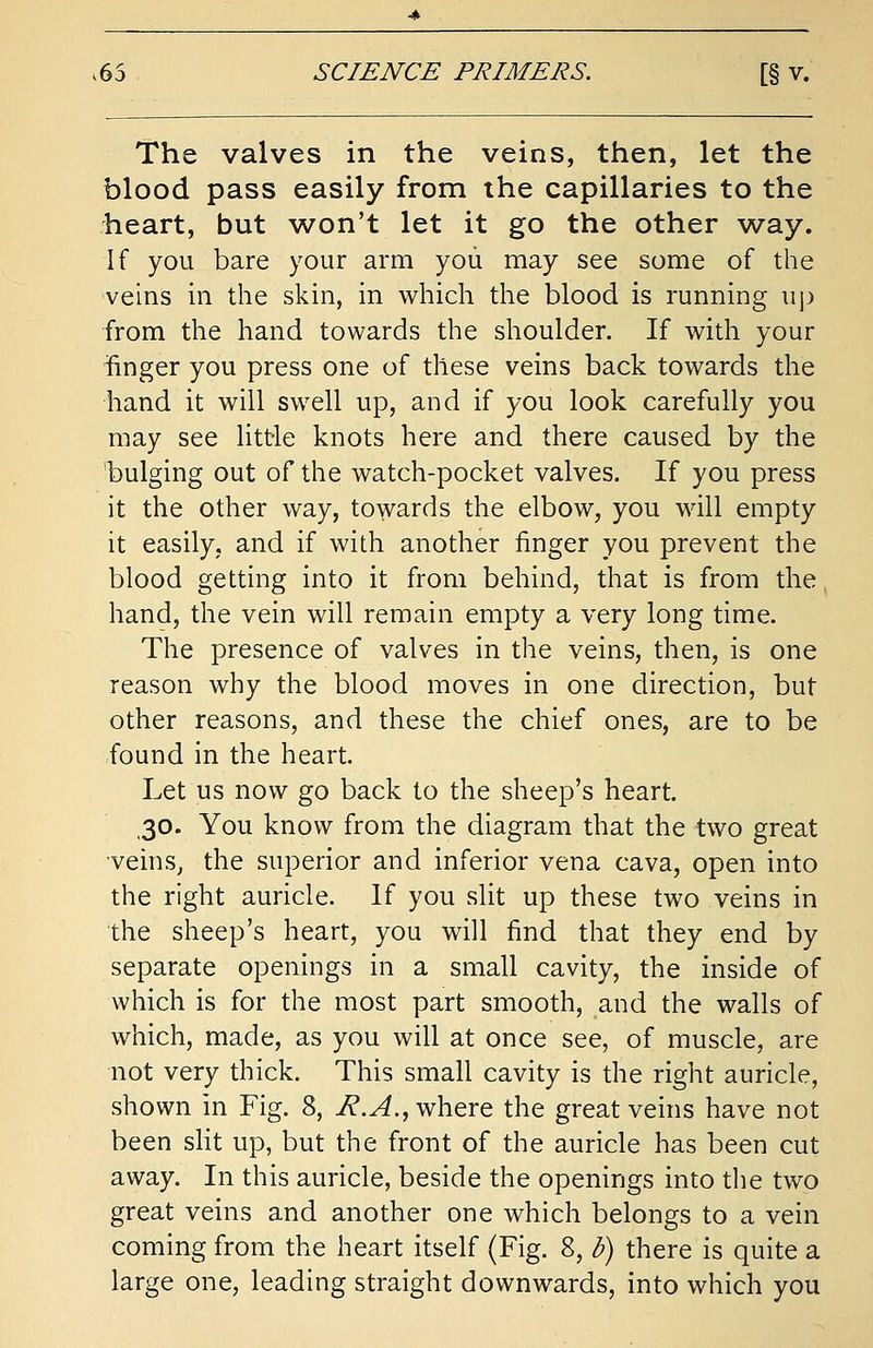 The valves in the veins, then, let the blood pass easily from the capillaries to the heart, but won't let it go the other way. If you bare your arm you may see some of the veins in the skin, in which the blood is running up from the hand towards the shoulder. If with your ringer you press one of these veins back towards the hand it will swell up, and if you look carefully you may see little knots here and there caused by the bulging out of the watch-pocket valves. If you press it the other way, towards the elbow, you will empty it easily, and if with another ringer you prevent the blood getting into it from behind, that is from the hand, the vein will remain empty a very long time. The presence of valves in the veins, then, is one reason why the blood moves in one direction, but other reasons, and these the chief ones, are to be found in the heart. Let us now go back to the sheep's heart. 30. You know from the diagram that the two great veins, the superior and inferior vena cava, open into the right auricle. If you slit up these two veins in the sheep's heart, you will find that they end by separate openings in a small cavity, the inside of which is for the most part smooth, and the walls of which, made, as you will at once see, of muscle, are not very thick. This small cavity is the right auricle, shown in Fig. 8, R.A., where the great veins have not been slit up, but the front of the auricle has been cut away. In this auricle, beside the openings into the two great veins and another one which belongs to a vein coming from the heart itself (Fig. 8, b) there is quite a large one, leading straight downwards, into which you