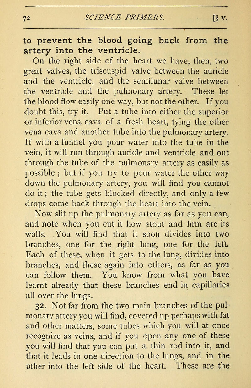 to prevent the blood going back from the artery into the ventricle. On the right side of the heart we have, then, two great valves, the triscuspid valve between the auricle and the ventricle, and the semilunar valve between the ventricle and the pulmonary artery. These let the blood flow easily one way, but not the other. If you doubt this, try it. Put a tube into either the superior or inferior vena cava of a fresh heart, tying the other vena cava and another tube into the pulmonary artery. If with a funnel you pour water into the tube in the vein, it will run through auricle and ventricle and out through the tube of the pulmonary artery as easily as possible ; but if you try to pour water the other way down the pulmonary artery, you will find you cannot do it; the tube gets blocked directly, and only a few drops come back through the heart into the vein. Now slit up the pulmonary artery as far as you can, and note when you cut it how stout and firm are its walls. You will find that it soon divides into two branches, one for the right lung, one for the left. Each of these, when it gets to the lung, divides into branches, and these again into others, as far as you can follow them. You know from what you have learnt already that these branches end in capillaries all over the lungs. 32. Not far from the two main branches of the pul- monary artery you will find, covered up perhaps with fat and other matters, some tubes which you will at once recognize as veins, and if you open any one of these you will find that you can put a thin rod into it, and that it leads in one direction to the lungs, and in the other into the left side of the heart. These are the