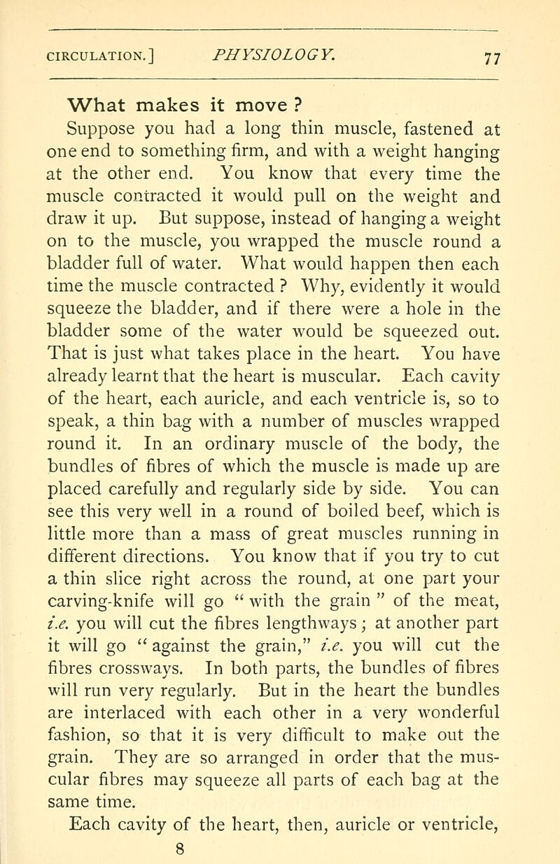 What makes it move ? Suppose you had a long thin muscle, fastened at one end to something firm, and with a weight hanging at the other end. You know that every time the muscle contracted it would pull on the weight and draw it up. But suppose, instead of hanging a weight on to the muscle, you wrapped the muscle round a bladder full of water. What would happen then each time the muscle contracted ? Why, evidently it would squeeze the bladder, and if there were a hole in the bladder some of the water would be squeezed out. That is just what takes place in the heart. You have already learnt that the heart is muscular. Each cavity of the heart, each auricle, and each ventricle is, so to speak, a thin bag with a number of muscles wrapped round it. In an ordinary muscle of the body, the bundles of fibres of which the muscle is made up are placed carefully and regularly side by side. You can see this very well in a round of boiled beef, which is little more than a mass of great muscles running in different directions. You know that if you try to cut a thin slice right across the round, at one part your carving-knife will go  with the grain  of the meat, i.e. you will cut the fibres lengthways; at another part it will go  against the grain, i.e. you will cut the fibres crossways. In both parts, the bundles of fibres will run very regularly. But in the heart the bundles are interlaced with each other in a very wonderful fashion, so that it is very difficult to make out the grain. They are so arranged in order that the mus- cular fibres may squeeze all parts of each bag at the same time. Each cavity of the heart, then, auricle or ventricle, 8