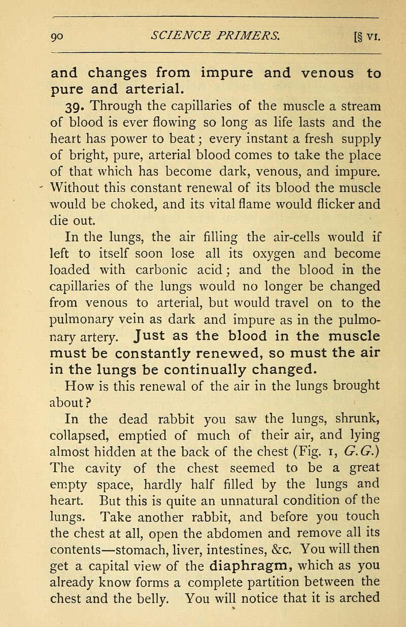 and changes from impure and venous to pure and arterial. 39. Through the capillaries of the muscle a stream of blood is ever flowing so long as life lasts and the heart has power to beat; every instant a fresh supply of bright, pure, arterial blood comes to take the place of that which has become dark, venous, and impure. Without this constant renewal of its blood the muscle would be choked, and its vital flame would flicker and die out. In the lungs, the air filling the air-cells would if left to itself soon lose all its oxygen and become loaded with carbonic acid; and the blood in the capillaries of the lungs would no longer be changed from venous to arterial, but would travel on to the pulmonary vein as dark and impure as in the pulmo- nary artery. Just as the blood in the muscle must be constantly renewed, so must the air in the lungs be continually changed. How is this renewal of the air in the lungs brought about? In the dead rabbit you saw the lungs, shrunk, collapsed, emptied of much of their air, and lying almost hidden at the back of the chest (Fig. 1, G.G.) The cavity of the chest seemed to be a great empty space, hardly half filled by the lungs and heart. But this is quite an unnatural condition of the lungs. Take another rabbit, and before you touch the chest at all, open the abdomen and remove all its contents—stomach, liver, intestines, &c. You will then get a capital view of the diaphragm, which as you already know forms a complete partition between the chest and the belly. You will notice that it is arched