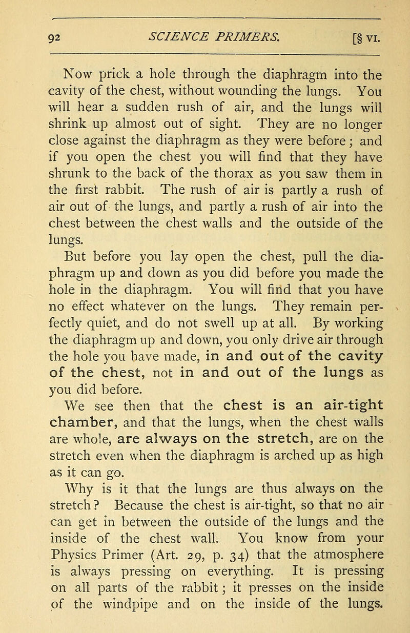 Now prick a hole through the diaphragm into the cavity of the chest, without wounding the lungs. You will hear a sudden rush of air, and the lungs will shrink up almost out of sight They are no longer close against the diaphragm as they were before; and if you open the chest you will find that they have shrunk to the back of the thorax as you saw them in the first rabbit. The rush of air is partly a rush of air out of the lungs, and partly a rush of air into the chest between the chest walls and the outside of the lungs. But before you lay open the chest, pull the dia- phragm up and down as you did before you made the hole in the diaphragm. You will find that you have no effect whatever on the lungs. They remain per- fectly quiet, and do not swell up at all. By working the diaphragm up and down, you only drive air through the hole you have made, in and out of the cavity of the chest, not in and out of the lungs as you did before. We see then that the chest is an air-tight chamber, and that the lungs, when the chest walls are whole, are always on the stretch, are on the stretch even when the diaphragm is arched up as high as it can go. Why is it that the lungs are thus always on the stretch ? Because the chest is air-tight, so that no air can get in between the outside of the lungs and the inside of the chest wall. You know from your Physics Primer (Art. 29, p. 34) that the atmosphere is always pressing on everything. It is pressing on all parts of the rabbit; it presses on the inside of the windpipe and on the inside of the lungs.