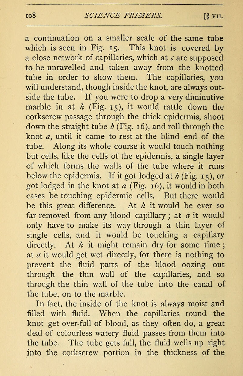 a continuation on a smaller scale of the same tube which is seen in Fig. 15. This knot is covered by a close network of capillaries, which at c are supposed to be unravelled and taken away from the knotted tube in order to show them. The capillaries, you will understand, though inside the knot, are always out- side the tube. If you were to drop a very diminutive marble in at h (Fig. 15), it would rattle down the corkscrew passage through the thick epidermis, shoot down the straight tube b (Fig. 16), and roll through the knot <7, until it came to rest at the blind end of the tube. Along its whole course it would touch nothing but cells, like the cells of the epidermis, a single layer of which forms the walls of the tube where it runs below the epidermis. If it got lodged at h (Fig. 15), or got lodged in the knot at a (Fig. 16), it would in both cases be touching epidermic cells. But there would be this great difference. At h it would be ever so far removed from any blood capillary; at a it would only have to make its way through a thin layer of single cells, and it would be touching a capillary directly. At h it might remain dry for some time ; at a it would get wet directly, for there is nothing to prevent the fluid parts of the blood oozing out through the thin wall of the capillaries, and so through the thin wall of the tube into the canal of the tube, on to the marble. In fact, the inside of the knot is always moist and filled with fluid. When the capillaries round the knot get over-full of blood, as they often do, a great deal of colourless watery fluid passes from them into the tube. The tube gets full, the fluid wells up right into the corkscrew portion in the thickness of the