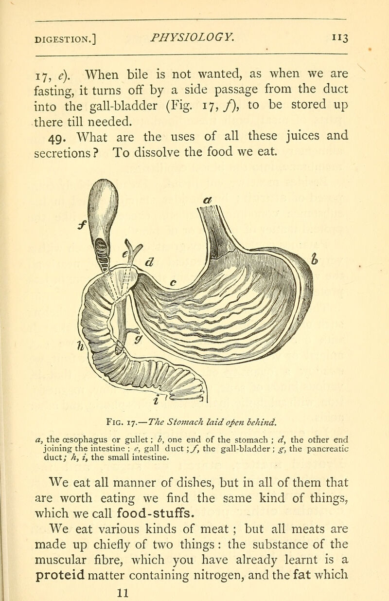 17, e). When bile is not wanted, as when we are fasting, it turns off by a side passage from the duct into the gall-bladder (Fig. 17,/), to be stored up there till needed. 49. What are the uses of all these juices and secretions ? To dissolve the food we eat. Fig. 17.—The Stomach laid open behind. a, the_ oesophagus or gullet; b, one end of the stomach ; d, the other end joining the intestine ; e, gall duct ;f, the gall-bladder; g, the pancreatic duct; h, i, the small intestine. We eat all manner of dishes, but in all of them that are worth eating we find the same kind of things, which we call food-stuffs. We eat various kinds of meat ; but all meats are made up chiefly of two things: the substance of the muscular fibre, which you have already learnt is a proteid matter containing nitrogen, and the fat which 11