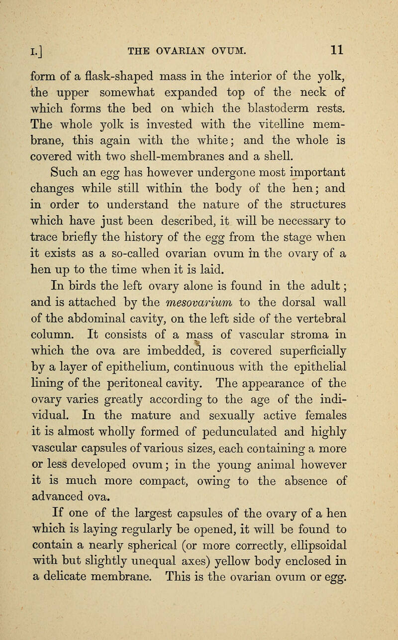 form of a flask-shaped mass in the interior of the yolk, the tipper somewhat expanded top of the neck of which forms the bed on which the blastoderm rests. The whole yolk is invested with the vitelline mem- brane, this again with the white; and the whole is covered with two shell-membranes and a shell. Such an egg has however undergone most important changes while still within the body of the hen; and in order to understand the nature of the structures which have just been described, it will be necessary to trace briefly the history of the egg from the stage when it exists as a so-called ovarian ovum in the ovary of a hen up to the time when it is laid. In birds the left ovary alone is found in the adult; and is attached by the mesovarium to the dorsal wall of the abdominal cavity, on the left side of the vertebral column. It consists of a mass of vascular stroma in which the ova are imbedded, is covered superficially by a layer of epithelium, continuous with the epithelial lining of the peritoneal cavity. The appearance of the ovary varies greatly according to the age of the indi- vidual. In the mature and sexually active females it is almost wholly formed of pedunculated and highly vascular capsules of various sizes, each containing a more or less developed ovum; in the young animal however it is much more compact, owing to the absence of advanced ova. If one of the largest capsules of the ovary of a hen which is laying regularly be opened, it will be found to contain a nearly spherical (or more correctly, ellipsoidal with but slightly unequal axes) yellow body enclosed in a dehcate membrane. This is the ovarian ovum or egg.