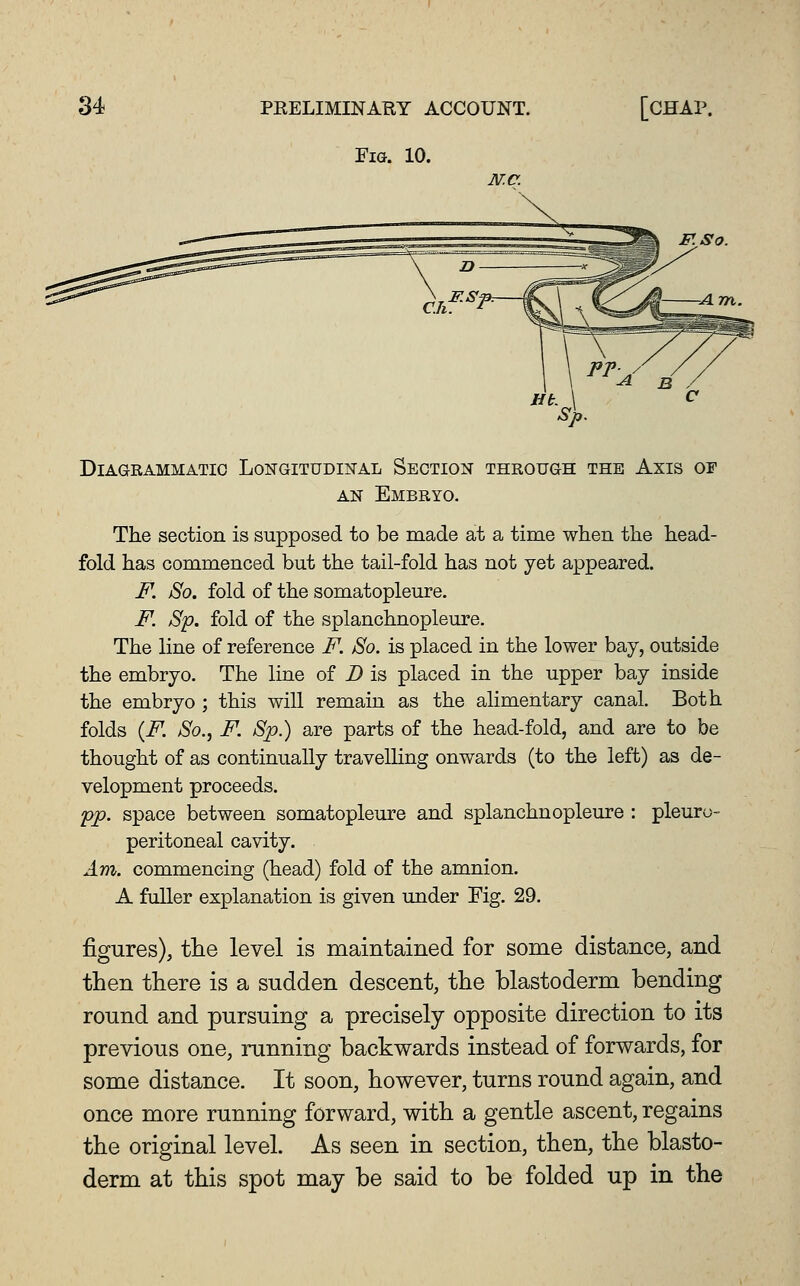 Fig. 10. N.C. DiAaRAMMATIO LONGITUDINAL SECTION THROUGH THE AxiS OF AN Embryo. The section is supposed to be made at a time when the head- fold has commenced but the tail-fold has not yet appeared. F. jSo. fold of the somatopleure. F. Sp. fold of the splanchnopleure. The line of reference F. JSo. is placed in the lower bay, outside the embryo. The line of Z) is placed in the upper bay inside the embryo ; this will remain as the alimentary canal. Both folds {F. So.J F. Sp.) are parts of the head-fold, and are to be thought of as continually travelhng onwards (to the left) as de- velopment proceeds. pjo. space between somatopleure and splanchnopleure : pleuru- peritoneal cavity. Am. commencing (head) fold of the amnion. A fuller explanation is given under Fig. 29. figures), the level is maintained for some distance, and then there is a sudden descent, the blastoderm bending round and pursuing a precisely opposite direction to its previous one, running backwards instead of forwards, for some distance. It soon, however, turns round again, and once more running forward, with a gentle ascent, regains the original level. As seen in section, then, the blasto- derm at this spot may be said to be folded up in the