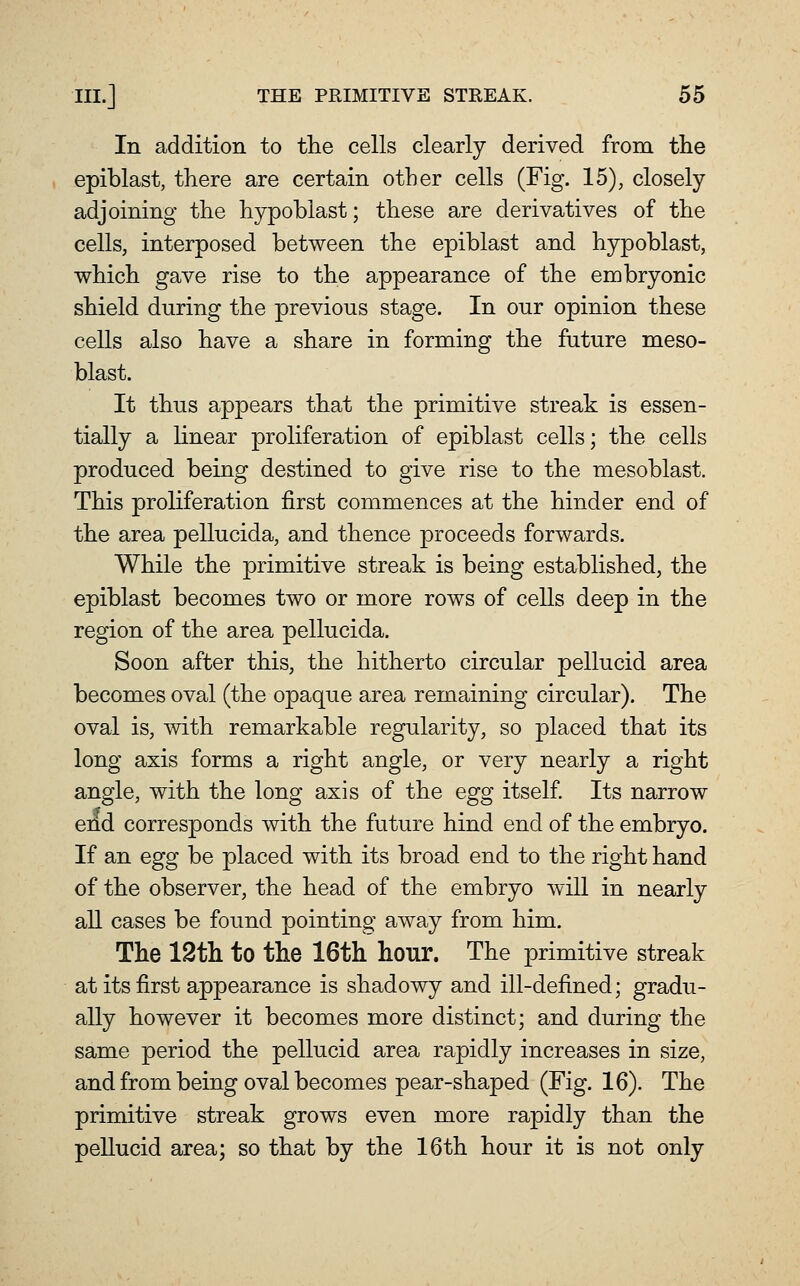 In addition to the cells clearly derived from the epiblast, there are certain other cells (Fig. 15), closely- adjoining the hypoblast; these are derivatives of the cells, interposed between the epiblast and hypoblast, which gave rise to the appearance of the embryonic shield during the previous stage. In our opinion these cells also have a share in forming the future meso- blast. It thus appears that the primitive streak is essen- tially a linear proliferation of epiblast cells; the cells produced being destined to give rise to the mesoblast. This proliferation first commences at the hinder end of the area pellucida, and thence proceeds forwards. While the primitive streak is being established, the epiblast becomes two or more rows of cells deep in the region of the area pellucida. Soon after this, the hitherto circular pellucid area becomes oval (the opaque area remaining circular). The oval is, with remarkable regularity, so placed that its long axis forms a right angle, or very nearly a right angle, with the long axis of the egg itself Its narrow end corresponds with the future hind end of the embryo. If an egg be placed with its broad end to the right hand of the observer, the head of the embryo will in nearly all cases be found pointing away from him. The 12th to the 16th hour. The primitive streak at its first appearance is shadowy and ill-defined; gradu- ally however it becomes more distinct; and during the same period the pellucid area rapidly increases in size, and from being oval becomes pear-shaped (Fig. 16). The primitive streak grows even more rapidly than the peUucid area; so that by the 16th hour it is not only