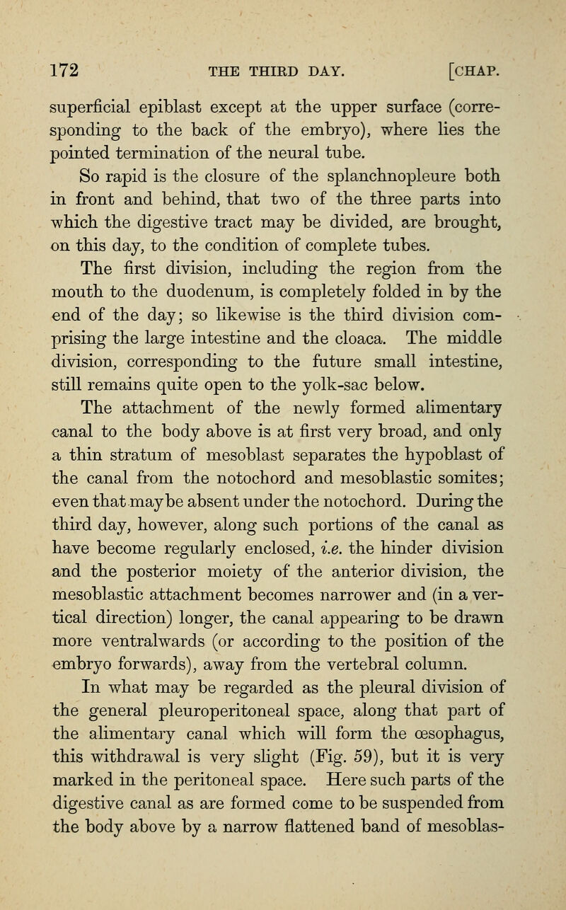 superficial epiblast except at the npper surface (corre- sponding to the back of the embryo), where lies the pointed termination of the neural tube. So rapid is the closure of the splanchnopleure both in front and behind, that two of the three parts into which the digestive tract may be divided, are brought, on this day, to the condition of complete tubes. The first division, including the region fi[om the mouth to the duodenum, is completely folded in by the end of the day; so likewise is the third division com- prising the large intestine and the cloaca. The middle division, corresponding to the future small intestine, still remains quite open to the yolk-sac below. The attachment of the newly formed alimentary canal to the body above is at first very broad, and only a thin stratum of mesoblast separates the hypoblast of the canal from the notochord and mesoblastic somites; even that maybe absent under the notochord. During the third day, however, along such portions of the canal as have become regularly enclosed, i.e. the hinder division and the posterior moiety of the anterior division, the mesoblastic attachment becomes narrower and (in a ver- tical direction) longer, the canal appearing to be drawn more ventralwards (or according to the position of the embryo forwards), away from the vertebral column. In what may be regarded as the pleural division of the general pleuroperitoneal space, along that part of the alimentary canal which will form the oesophagus, this withdrawal is very slight (Fig. 59), but it is very marked in the peritoneal space. Here such parts of the digestive canal as are formed come to be suspended from the body above by a narrow flattened band of mesoblas-