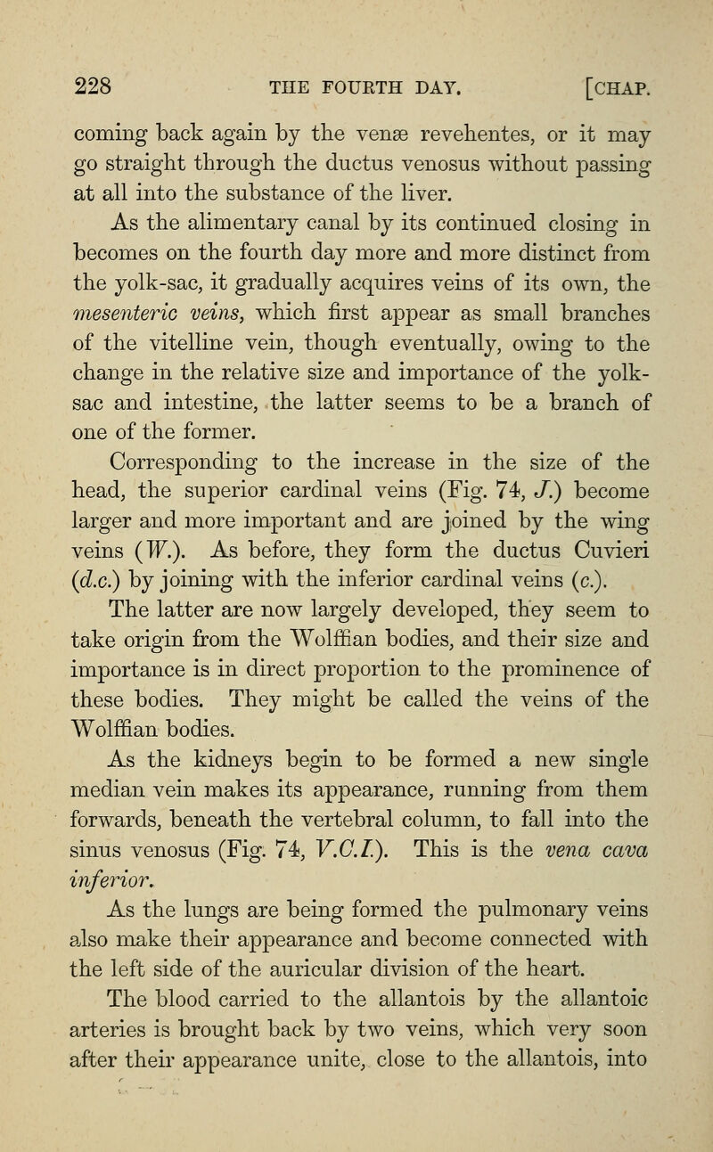 coming back again by the ven^ revehentes, or it may go straight through the ductus venosus without passing at all into the substance of the liver. As the alimentary canal by its continued closing in becomes on the fourth day more and more distinct from the yolk-sac, it gradually acquires veins of its own, the mesenteric veins, which first appear as small branches of the vitelline vein, though eventually, owing to the change in the relative size and importance of the yolk- sac and intestine, the latter seems to be a branch of one of the former. Corresponding to the increase in the size of the head, the superior cardinal veins (Fig, 74, J.) become larger and more important and are joined by the wing veins (Tf.). As before, they form the ductus Cuvieri {d.c) by joining with the inferior cardinal veins (c). The latter are now largely developed, they seem to take origin from the Wolffian bodies, and their size and importance is in direct proportion to the prominence of these bodies. They might be called the veins of the Wolffian bodies. As the kidneys begin to be formed a new single median vein makes its appearance, running from them forwards, beneath the vertebral column, to fall into the sinus venosus (Fig. 74, V.C.L). This is the vena cava inferior. As the lungs are being formed the pulmonary veins also make their appearance and become connected with the left side of the auricular division of the heart. The blood carried to the allantois by the allantoic arteries is brought back by two veins, which very soon after their appearance unite, close to the allantois, into