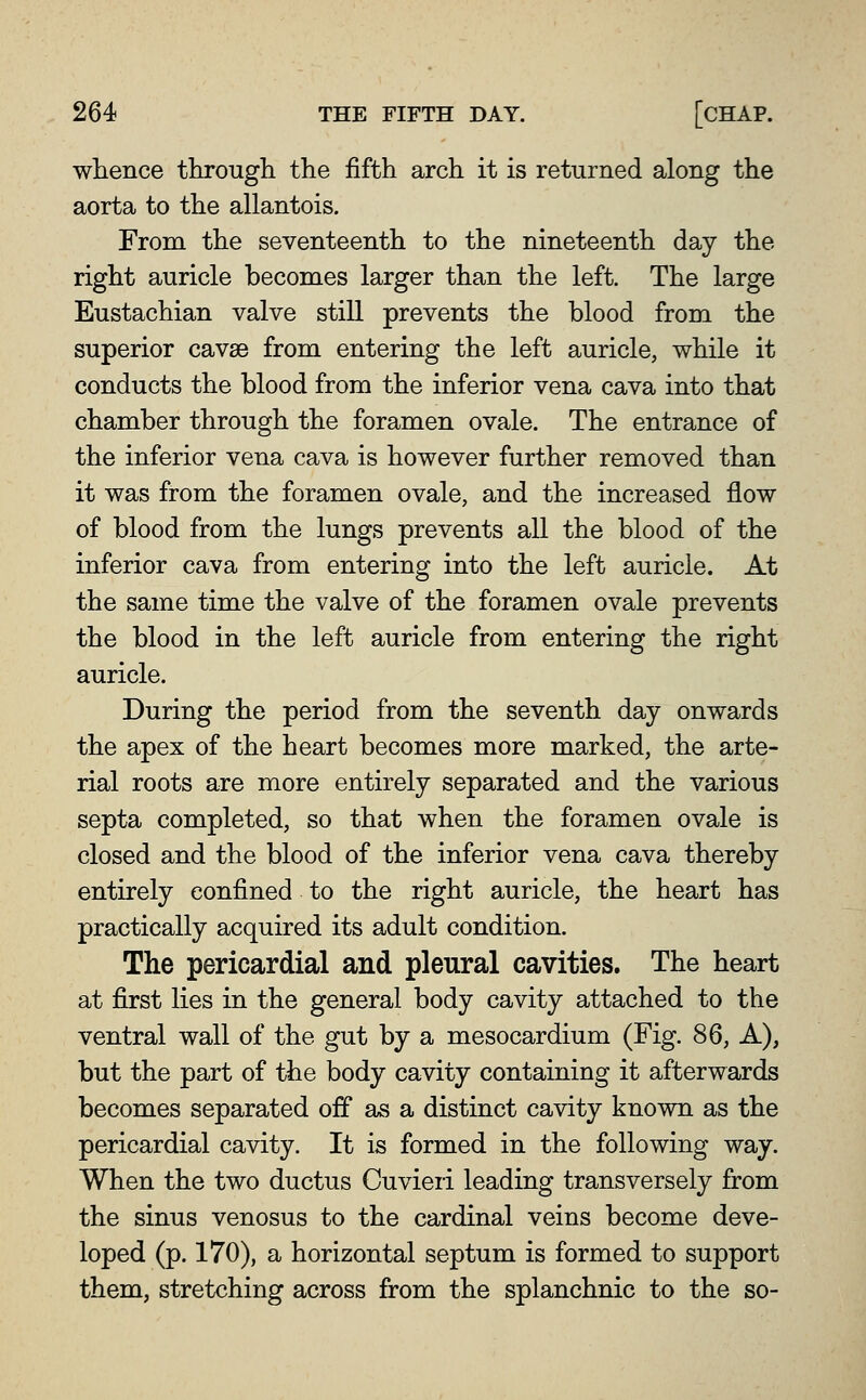 whence througli the fifth arch it is returned along the aorta to the allantois. From the seventeenth to the nineteenth day the right auricle becomes larger than the left. The large Eustachian valve still prevents the blood from the superior cavse from entering the left auricle, while it conducts the blood from the inferior vena cava into that chamber through the foramen ovale. The entrance of the inferior vena cava is however further removed than it was from the foramen ovale, and the increased flow of blood from the lungs prevents all the blood of the inferior cava from entering into the left auricle. At the same time the valve of the foramen ovale prevents the blood in the left auricle from entering the right auricle. During the period from the seventh day onwards the apex of the heart becomes more marked, the arte- rial roots are more entirely separated and the various septa completed, so that when the foramen ovale is closed and the blood of the inferior vena cava thereby entirely confined to the right auricle, the heart has practically acquired its adult condition. The pericardial and pleural cavities. The heart at first lies in the general body cavity attached to the ventral wall of the gut by a mesocardium (Fig. 86, A), but the part of the body cavity containing it afterwards becomes separated off as a distinct cavity known as the pericardial cavity. It is formed in the following way. When the two ductus Cuvieri leading transversely from the sinus venosus to the cardinal veins become deve- loped (p. 170), a horizontal septum is formed to support them, stretching across from the splanchnic to the so-