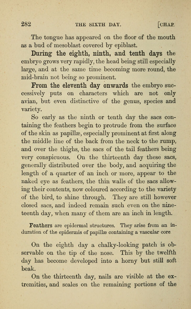 The tongue has appeared on the floor of the mouth as a bud of mesoblast covered by epiblast. During the eighth, ninth, and tenth days the embryo grows very rapidly, the head being still especially large, and at the same time becoming more round, the mid-brain not being so prominent. From the eleventh day onwards the embryo suc- cessively puts on characters which are not only avian, but even distinctive of the gemis, species and variety. So early as the ninth or tenth day the sacs con- taining the feathers begin to protrude from the surface of the skin as papillae, especially prominent at first along the middle line of the back from the neck to the rump, and over the thighs, the sacs of the tail feathers being very conspicuous. On the thirteenth day these sacs, generally distributed over the body, and acquiring the length of a quarter of an inch or more, appear to the naked eye as feathers, the thin walls of the sacs allow- ing their contents, now coloured according to the variety of the bird, to shine through. They are still however closed sacs, and indeed remain such even on the nine- teenth day, when many of them are an inch in length. Feathers are epidermal structures. They arise from an in- duration of the epidermis of papillae containing a vascular core On the eighth day a chalky-looking patch is ob- servable on the tip of the nose. This by the twelfth day has become developed into a horny but still soft beak. On the thirteenth day, nails are visible at the ex- tremities, and scales on the remaining portions of the