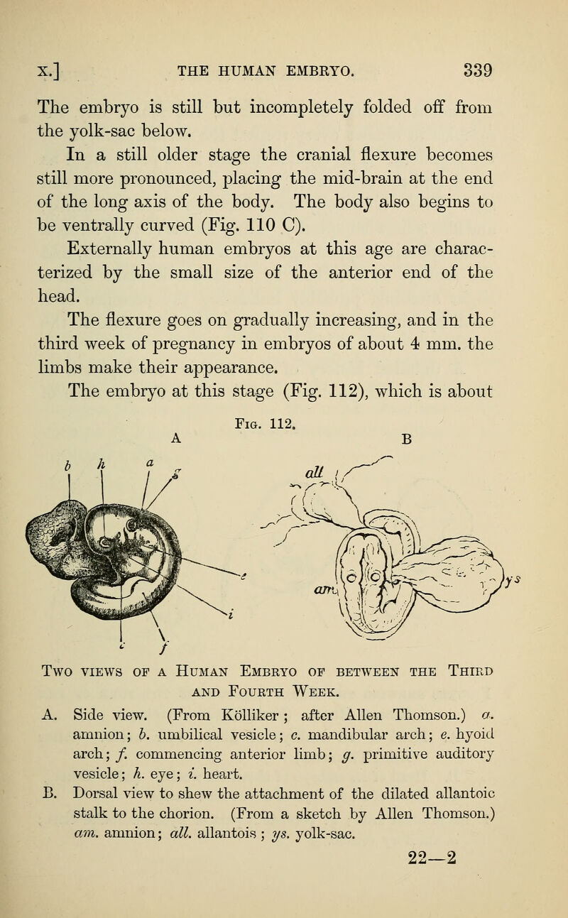 The embryo is still but incompletely folded off from the yolk-sac below. In a still older stage the cranial flexure becomes still more pronounced, placing the mid-brain at the end of the long axis of the body. The body also begins to be ventrally curved (Fig. 110 C). Externally human embryos at this age are charac- terized by the small size of the anterior end of the head. The flexure goes on gradually increasing, and in the third week of pregnancy in embryos of about 4 mm. the limbs make their appearance. The embryo at this stage (Fig. 112), which is about Fm. 112. Two VIEWS OF A Human Embryo of between the Third AND Fourth Week. A. Side view. (From Kolliker; after Allen Thomson.) a. amnion; h. umbilical vesicle; c. mandibular arch; e. hyoid arch; /. commencing anterior limb; g. j)rimitive auditory vesicle; h. eye; i. heart. B. Dorsal view to shew the attachment of the dilated allantoic stalk to the chorion. (From a sketch by Allen Thomson.) am. amnion; all. allantois ; ys. yolk-sac. 22—2