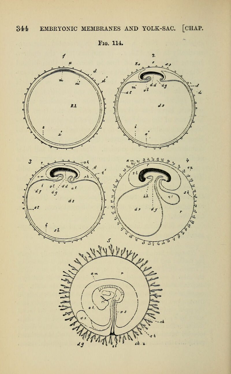 Fig. 114.