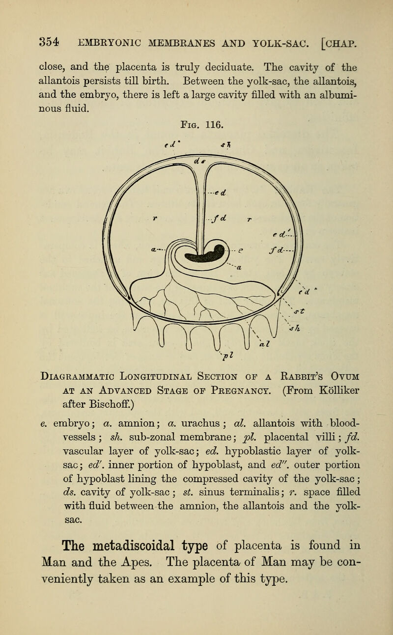 close, and the placenta is truly decidiiate. The cavity of the allantois persists till birth. Between the yolk-sac, the allantois, and the embryo, there is left a large cavity filled with an albumi- nous fluid. Fig. 116. Diagrammatic Longitudinal Section of a Rabbit's Ovum AT AN Advanced Stage of Pregnancy. (From Kolliker after Bischoflf.) e. embryo; a. amnion; a. urachus ; al. allantois with blood- vessels ; sh. sub-zonal membrane; pi. placental villi; fd. vascular layer of yolk-sac; ed. hypoblastic layer of yolk- sac ; ed'. inner portion of hypoblast, and ed. outer portion of hypoblast lining the compressed cavity of the yolk-sac; ds. cavity of yolk-sac; st. sinus terminahs; r. space filled with fluid between the amnion, the allantois and the yolk- The metadiscoidal type of placenta is found in Man and the Apes. The placenta of Man may be con- veniently taken as an example of this type.