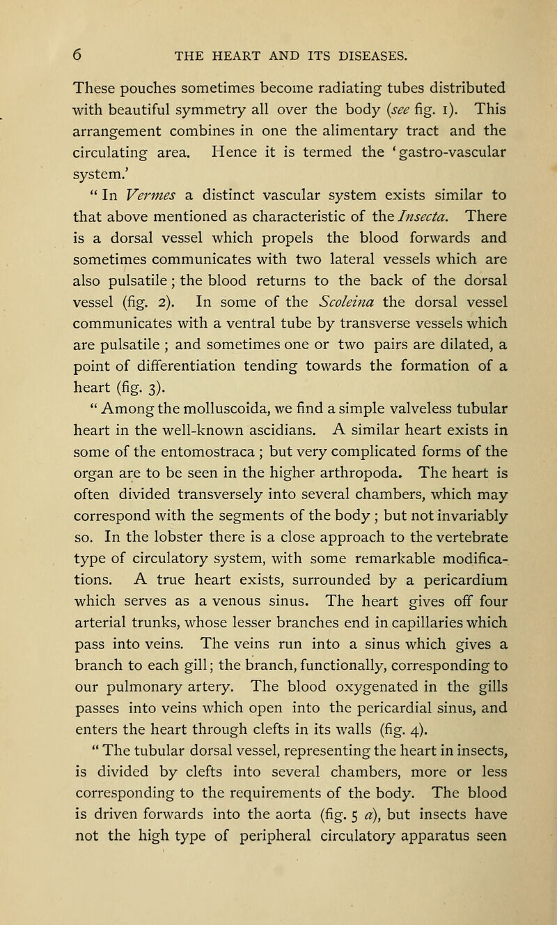 These pouches sometimes become radiating tubes distributed with beautiful symmetry all over the body {see fig. i). This arrangement combines in one the alimentary tract and the circulating area. Hence it is termed the ' gastro-vascular system.'  In Vermes a distinct vascular system exists similar to that above mentioned as characteristic of the Insecta. There is a dorsal vessel which propels the blood forwards and sometimes communicates with two lateral vessels which are also pulsatile; the blood returns to the back of the dorsal vessel (fig. 2). In some of the Scoleina the dorsal vessel communicates with a ventral tube by transverse vessels which are pulsatile ; and sometimes one or two pairs are dilated, a point of differentiation tending towards the formation of a heart (fig. 3).  Among the molluscoida, we find a simple valveless tubular heart in the well-known ascidians. A similar heart exists in some of the entomostraca ; but very complicated forms of the organ are to be seen in the higher arthropoda. The heart is often divided transversely into several chambers, which may correspond with the segments of the body ; but not invariably so. In the lobster there is a close approach to the vertebrate type of circulatory system, with some remarkable modifica- tions. A true heart exists, surrounded by a pericardium which serves as a venous sinus. The heart gives off four arterial trunks, whose lesser branches end in capillaries which pass into veins. The veins run into a sinus which gives a branch to each gill; the branch, functionally, corresponding to our pulmonary artery. The blood oxygenated in the gills passes into veins which open into the pericardial sinus, and enters the heart through clefts in its walls (fig. 4).  The tubular dorsal vessel, representing the heart in insects, is divided by clefts into several chambers, more or less corresponding to the requirements of the body. The blood is driven forwards into the aorta (fig. 5 a), but insects have not the high type of peripheral circulatory apparatus seen
