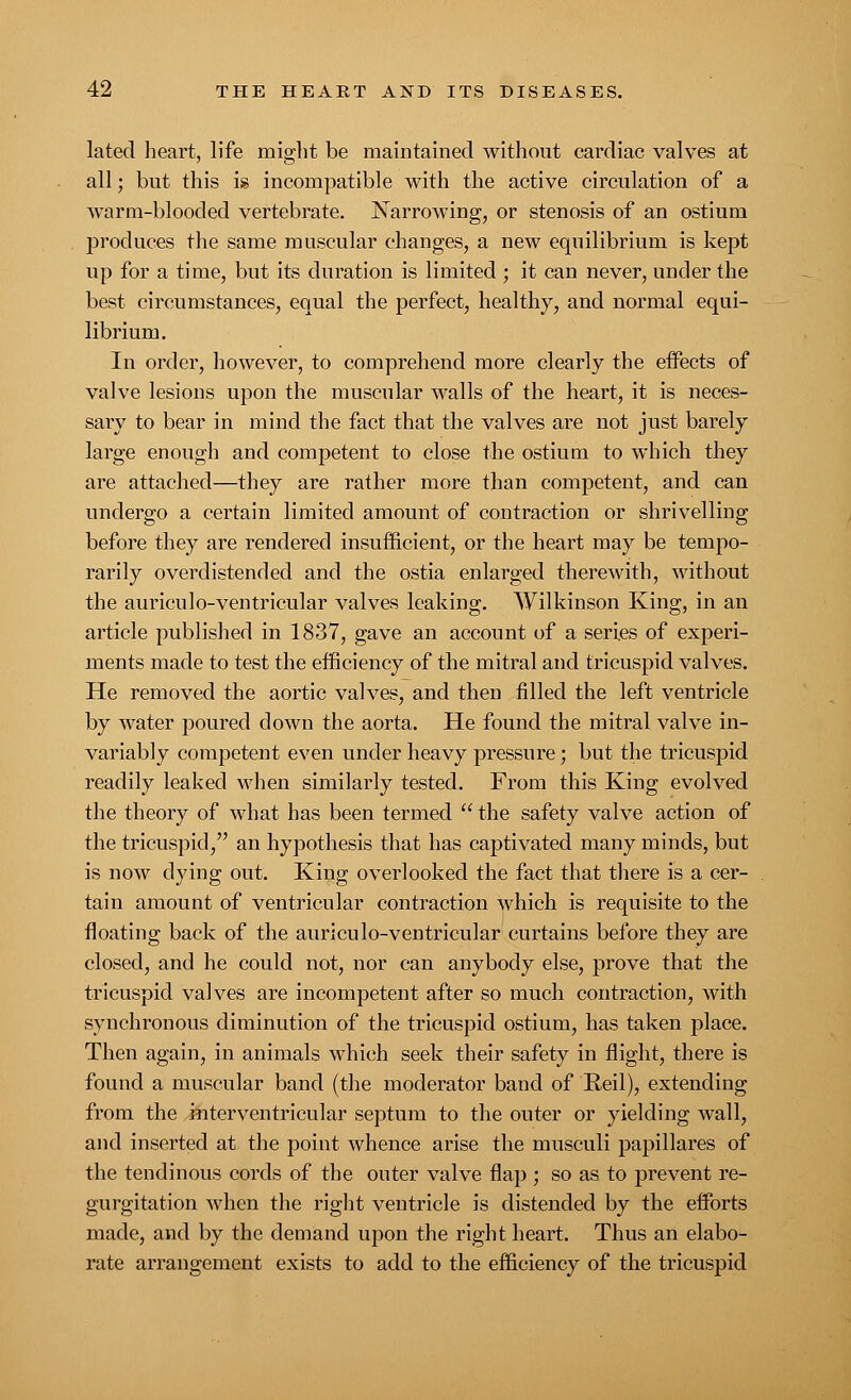 lated heart, life might be maintained without cardiac valves at all; but this is incompatible with the active circulation of a warm-blooded vertebrate. Narrowing, or stenosis of an ostium produces the same muscular changes, a new equilibrium is kept up for a time, but its duration is limited ; it can never, under the best circumstances, equal the perfect, healthy, and normal equi- librium. In order, however, to comprehend more clearly the effects of valve lesions upon the muscular walls of the heart, it is neces- sary to bear in mind the fact that the valves are not just barely large enough and competent to close the ostium to which they are attached—they are rather more than competent, and can undergo a certain limited amount of contraction or shrivelling before they are rendered insufficient, or the heart may be tempo- rarily overdistended and the ostia enlarged therewith, without the auriculo-ventricular valves leaking. Wilkinson King, in an article published in 1837, gave an account of a series of experi- ments made to test the efficiency of the mitral and tricuspid valves. He removed the aortic valves, and then filled the left ventricle by water poured down the aorta. He found the mitral valve in- variably competent even under heavy pressure; but the tricuspid readily leaked when similarly tested. From this King evolved the theory of what has been termed  the safety valve action of the tricuspid, an hypothesis that has captivated many minds, but is now dying out. King overlooked the fact that there is a cer- tain amount of ventricular contraction which is requisite to the floating back of the auriculo-ventricular curtains before they are closed, and he could not, nor can anybody else, prove that the tricuspid valves are incompetent after so much contraction, with synchronous diminution of the tricuspid ostium, has taken place. Then again, in animals which seek their safety in flight, there is found a muscular band (the moderator band of Reil), extending from the interventricular septum to the outer or yielding wall, and inserted at the point whence arise the musculi papillares of the tendinous cords of the outer valve flap ; so as to prevent re- gurgitation when the right ventricle is distended by the efforts made, and by the demand upon the right heart. Thus an elabo- rate arrangement exists to add to the efficiency of the tricuspid