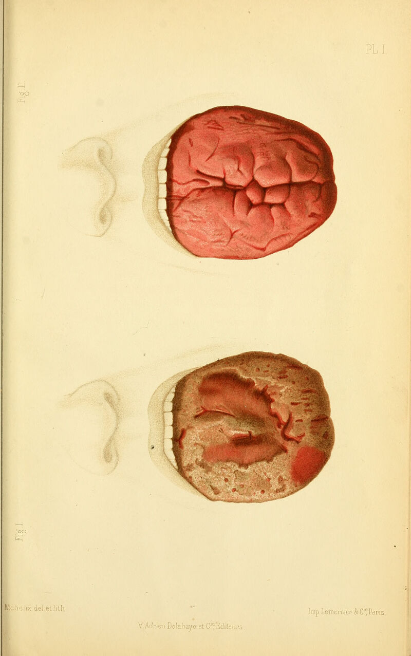 inp i.eniercicr'&C'^Par)£ '/:AdiMori Dolahaye et. C;Ëdileii;'.5 .