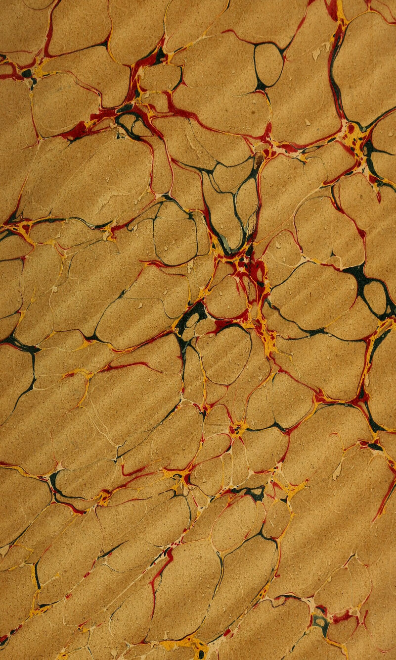 •^ A ri ■ i-,^ r M,