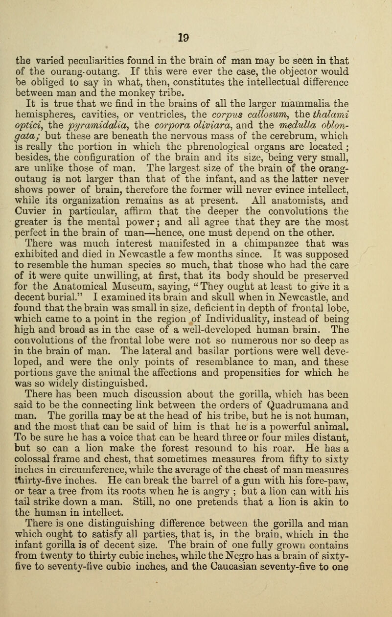 « the varied peculiaiities found in the brain of man may be seen in that of the ouraug-outang. If this were ever the case, the objector would be obliged to say in what, then, constitutes the intellectual difierence between man and the monkey tribe. It is true that we find in the brains of all the larger mammalia the hemispheres, cavities, or ventricles, the corpus callosum, the thalami optici^ the pyramidaliay the corpora oliviara, and the rrvedulla oblon- gata; but these are beneath the nervous mass of the cerebrum, which is really the portion in which the phrenological organs are located ; besides, the configuration of the brain and its size, being very small, are unlike those of man. The largest size of the brain of the orang- outang is not larger than that of the infant, and as the latter never shows power of brain, therefore the former will never evince intellect, while its organization remains as at present. All anatomists, and Cuvier in particular, affirm that the deeper the convolutions the greater is the mental power; and all agree that they are the most perfect in the brain of man—hence, one must depend on the other. There was much interest manifested in a chimpanzee that was exhibited and died in Newcastle a few months since. It was supposed to resemble the human species so much, that those who had the care of it wei'e quite unwilling, at first, that its body should be preserved for the Anatomical Museum, saying,  They ought at least to give it a decent burial. I examined its brain and skull when in Newcastle, and found that the brain was small in size, deficient in depth of frontal lobe, which came to a point in the region of Individuality, instead of being high and broad as in the case of a well-developed human brain. The convolutions of the frontal lobe were not so numerous nor so deep as in the brain of man. The lateral and basilar portions were well deve- loped, and were the only points of resemblance to man, and these portions gave the animal the afiections and propensities for which he was so widely distinguished. There has been much discussion about the gorilla, which has been said to be the connecting hnk between the orders of Quadrumana and man. The gorilla may be at the head of his tribe, but he is not human, and the most that can be said of him is that he is a powerful animal. To be sure he has a voice that can be heard three or four miles distant, but so can a lion make the forest resound to his roar. He has a colossal frame and chest, that sometimes measures from fifty to sixty inches in circumference, w^hile the average of the chest of man measures ttiirty-five inches. He can break the barrel of a gun with his fore-paw, or tear a tree from its roots when he is angry ; but a lion can with his tail strike down a man. Still, no one pretends that a lion is akin to the human in intellect. There is one distinguishing difference between the gorilla and man which ought to satisfy all parties, that is, in the brain, which in the infant gorilla is of decent size. The brain of one fully grown contains from twenty to thirty cubic inches, while the Negro has a brain of sixty- five to seventy-five cubic inches, and the Caucasian seventy-five to one