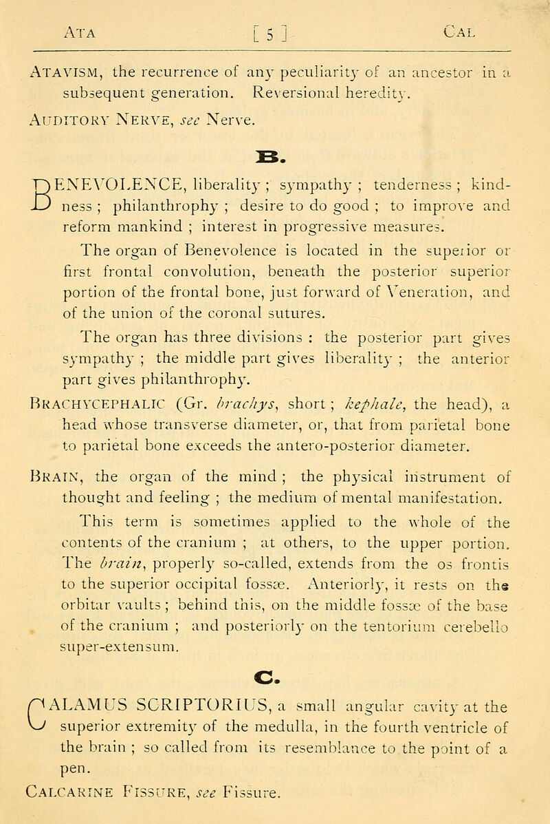 Atavism, the recurrence of an}' peculiarit}- of an ancestor in a subsequent generation. Reversional heredity. Auditory Nerve, sec Nerve. BENE\OLENCE, liberality ; sj-mpath}- ; tenderness ; kind- ness ; philanthrophy ; desire to do good ; to improve and reform mankind ; interest in progressive measures. The organ of Benevolence is located in the supeiior or first frontal convolution, beneath the posterior superior portion of the frontal bone, just forward of \eneration, and of the union of the coronal sutures. The organ has three divisions : the posterior part gives S3'mpathy ; the middle part gives liberalit}- ; the anterior part gives philanthroph}-. Brachvcephalic (Gr. bracliysy short; kephalc, the head), a head whose transverse diameter, or, that from parietal bone to parietal bone exceeds the antero-posterior diameter. Brain, the organ of the mind ; the physical instrument of thought and feeling ; the medium of mental manifestation. This term is sometimes applied to the whole of the contents of the cranium ; at others, to the upper portion. The brain^ properly so-called, extends from the os frontis to the superior occipital fossas. Anteriorl)-, it rests on the orbitar \'ault3 ; behind this, on the middle fosscc of the base of the cranium ; and posteriorly on the tentorium cerebello super-extensum. c nALAMUS SCRIPTORIUS, a small angular cavity at the \J superior extremity of the medulla, in the fourth ventricle of the brain ; so called from its resemblance to the point of a pen. Cai.CARINE Fissltre, see Fissure.