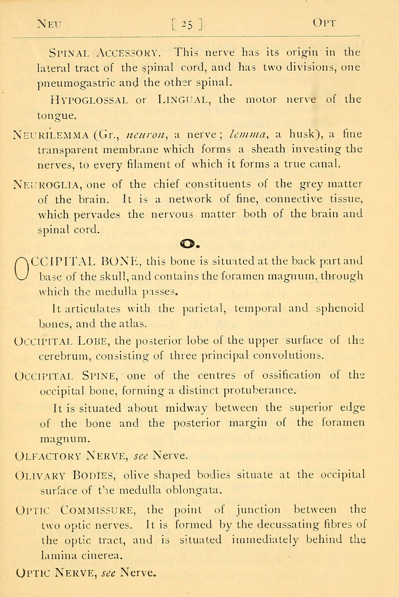 Spinal Accessory. This nerve has its origin in the lateral tract of the spinal cord, and has two divisions, one pneumogastric and the other spinal. Hypoglossal or Llngual, the motor nerve of the tongue. Neurilemma (Gr., neuron^ a nerve ; Ic/iuna, a husk), a fine transparent membrane which forms a sheath investing the nerves, to every filament of which it forms a true canal. Nel'ROGLIA, one of the chief constituents of the grey matter of the brain. It is a network of fine, connective tissue, which pervades the nervous matter both of the brain and spinal cord. o. OCCIPITAL BONE, this bone is situated at the back part and base of the skull, and contains the foramen magnum, through which the medulla passes. It articulates with the parietal, temporal and sphenoid bones, and the atlas. Occipital Lobe, the posterior lobe of the upper surface of the cerebrum, consisting of three principal convolutions. Occipital Spine, one of the centres of ossification of the occipital bone, forming a distinct protuberance. It is situated about midway between the superior edge of the bone and the posterior margin of the foramen magnum. OlfvVCTORY Nerve, see Nerve. Olivary Bodies, olive shaped bodies situate at the occipital surface of t'le medulla oblongata. Op'ltc Commissure, the point of junction between the two optic nerves. It is formed by the decussating fibres of the optic tract, and is situated immediately behind the lamina cinerea. Optic Nerve, see Nerve.