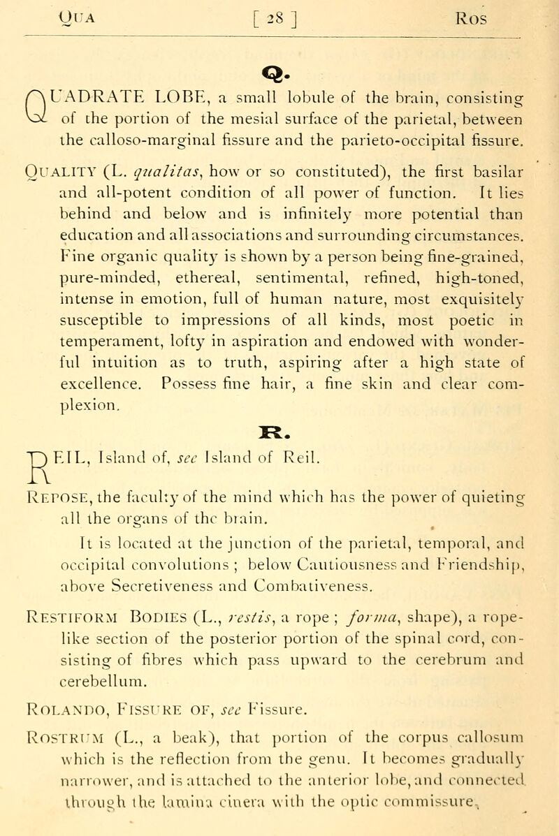 Q Q. UADRxATE LOBE, a small lobule of the brain, consisting of the portion of the mesial surface of the parietal, between the calloso-marginal fissure and the parieto-occipital fissure. Quality (L. qiialitas^ how or so constituted), the first basilar and all-potent condition of all power of function. It lies behind and below and is infinitely more potential than education and all associations and surrounding circumstances. Fine organic quality is shown by a person being fine-grained, pure-minded, ethereal, sentimental, refined, high-toned, intense in emotion, full of human nature, most exquisitely susceptible to impressions of all kinds, most poetic in temperament, lofty in aspiration and endowed with wonder- ful intuition as to truth, aspiring after a high state of excellence. Possess fine hair, a fine skin and clear com- plexion. P F.IL, Island of, sec Island of Reil. RErosE,the faculty of the mind which has the power of quieting all the organs of the biain. It is located at the junction of the parietal, tem]ioral, and occipital con\'olutions ; below Cautiousness and Friendshi[), above Secretiveness and Combaiiveness. Restiform Bodies (L., restis^ a rope ; forma, shape), a rope- like section of the posterior portion of the spinal cord, con- sisting of fibres which pass upward to the cerebrum and cerebellum. Rolando, Fisslke of, sec Fissure. Ros'lKLM (L., a beak), that portion of the corpus callosuiu whicli is the reflection from the genu. Il becomes graduallx' narrower, and is attached to the anterior lol)e,and connected ihruui^h the lamina ciuera with the optic commissure..