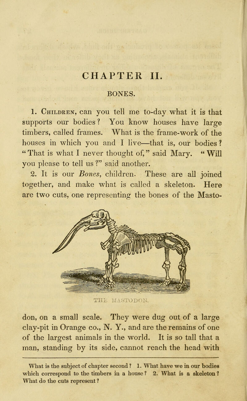 CHAPTER II BONES. 1. Children, can you tell me to-day what it is that supports our bodies ? You know houses have large timbers, called frames. What is the frame-work of the houses in which you and I live—that is, our bodies ?  That is what I never thought of, said Mary.  Will you please to tell us ? said another. 2. It is our Bones, children. These are all joined together, and make what is called a skeleton. Here are two cuts, one representing the bones of the Masto- THE MASTODON. don, on a small scale. They were dug out of a large clay-pit in Orange co., N. Y., and are the remains of one of the largest animals in the world. It is so tall that a man, standing by its side, cannot reach the head with What is the subject of chapter second ? 1. What have we in our bodies which correspond to the timbers in a house? 2. What is a skeleton? What do the cuts represent ?