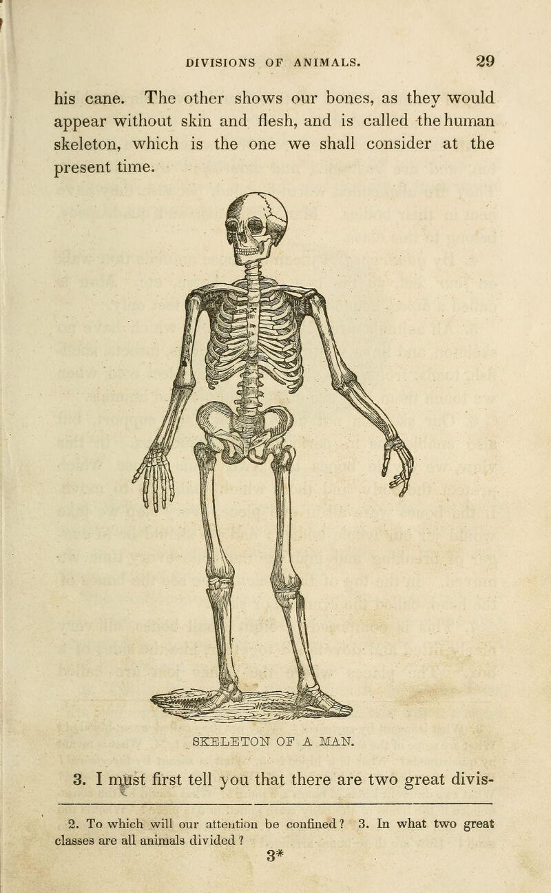 his cane. The other shows our bones, as they would appear without skin and flesh, and is called the human skeleton, which is the one we shall consider at the present time. SKELETON OE A MAN. 3. I must first tell you that there are two great divis- 2. To which will our attention be confined? 3. In what two great classes are all animals divided ? 3*