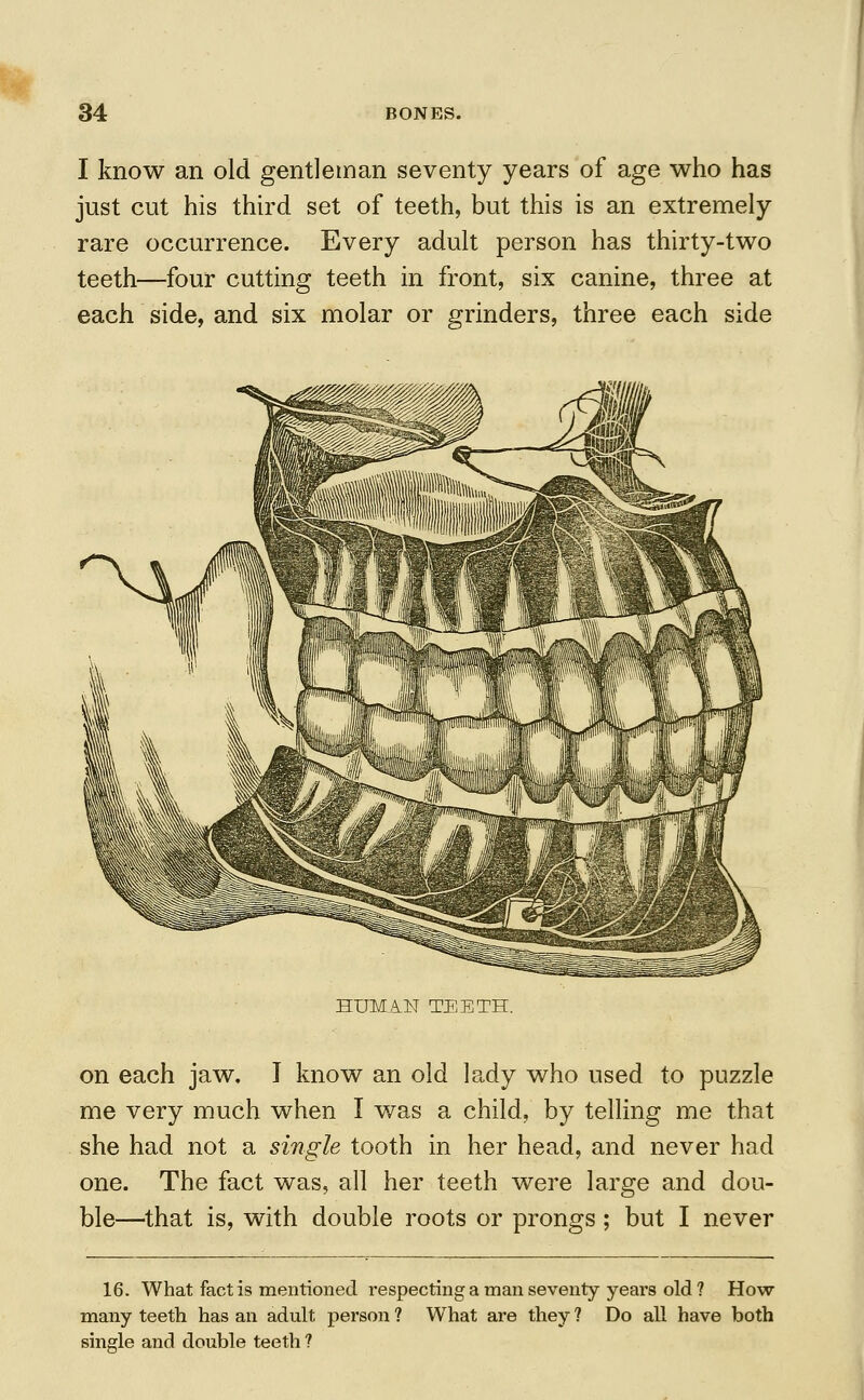 I know an old gentleman seventy years of age who has just cut his third set of teeth, but this is an extremely rare occurrence. Every adult person has thirty-two teeth—four cutting teeth in front, six canine, three at each side, and six molar or grinders, three each side HUMAN TEETH. on each jaw. I know an old lady who used to puzzle me very much when I was a child, by telling me that she had not a single tooth in her head, and never had one. The fact was, all her teeth were large and dou- ble—that is, with double roots or prongs ; but I never 16. What fact is mentioned respecting a man seventy years old ? How many teeth has an adult person ? What are they ? Do all have both single and double teeth ?