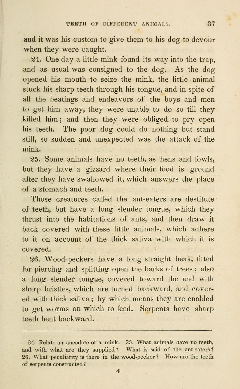 and it was his custom to give them to his dog to devour when they were caught. 24. One day a little mink found its way into the trap, and as usual was consigned to the dog. As the dog opened his mouth to seize the mink, the little animal stuck his sharp teeth through his tongue, and in spite of all the beatings and endeavors of the boys and men to get him away, they were unable to do so till they killed him; and then they were obliged to pry open his teeth. The poor dog could do nothing but stand still, so sudden and unexpected was the attack of the mink. 25. Some animals have no teeth, as hens and fowls, but they have a gizzard where their food is ground after they have swallowed it, which answers the place of a stomach and teeth. Those creatures called the ant-eaters are destitute of teeth, but have a long slender tongue, which they thrust into the habitations of ants, and then draw it back covered with these little animals, which adhere to it on account of the thick saliva with which it is covered. 26. Wood-peckers have a long straight beak, fitted for piercing and splitting open the barks of trees; also a long slender tongue, covered toward the end with sharp bristles, which are turned backward, and cover- ed with thick saliva; by which means they are enabled to get worms on which to feed. Serpents have sharp teeth bent backward. 24. Relate an anecdote of a mink. 25. What animals have no teeth, and with what are they supplied? What is said of the ant-eaters? 26. What peculiarity is there in the wood-pecker ? How are the teeth of serpents constructed? 4