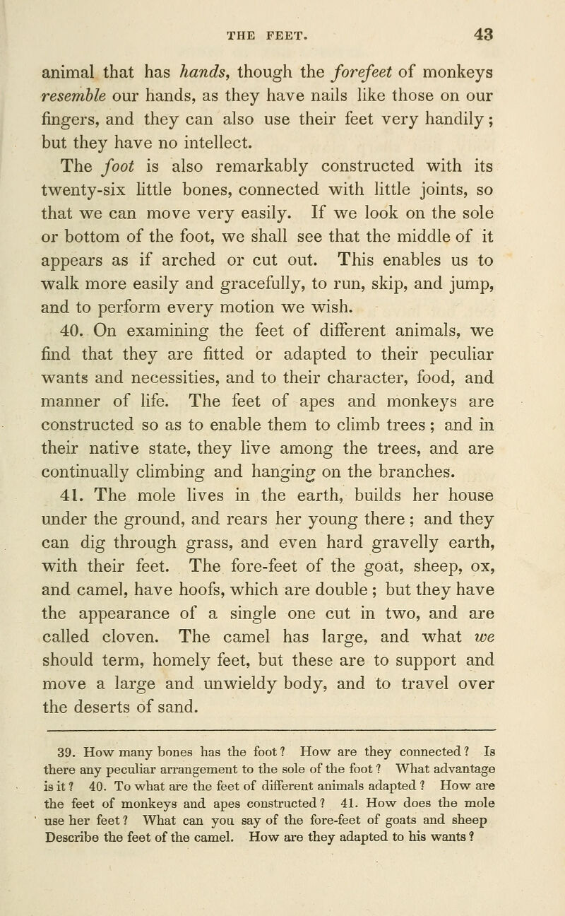 animal that has hands, though the forefeet of monkeys resemble our hands, as they have nails like those on our fingers, and they can also use their feet very handily; but they have no intellect. The foot is also remarkably constructed with its twenty-six little bones, connected with little joints, so that we can move very easily. If we look on the sole or bottom of the foot, we shall see that the middle of it appears as if arched or cut out. This enables us to walk more easily and gracefully, to run, skip, and jump, and to perform every motion we wish. 40. On examining the feet of different animals, we find that they are fitted or adapted to their peculiar wants and necessities, and to their character, food, and manner of life. The feet of apes and monkeys are constructed so as to enable them to climb trees; and in their native state, they live among the trees, and are continually climbing and hanging on the branches. 41. The mole lives in the earth, builds her house under the ground, and rears her young there ; and they can dig through grass, and even hard gravelly earth, with their feet. The fore-feet of the goat, sheep, ox, and camel, have hoofs, which are double ; but they have the appearance of a single one cut in two, and are called cloven. The camel has large, and what we should term, homely feet, but these are to support and move a large and unwieldy body, and to travel over the deserts of sand. 39. How many bones has the foot? How are they connected? Is there any peculiar arrangement to the sole of the foot ? What advantage is it ? 40. To what are the feet of different animals adapted ? How are the feet of monkeys and apes constructed? 41. How does the mole use her feet ? What can you say of the fore-feet of goats and sheep Describe the feet of the camel. How are they adapted to his wants 1