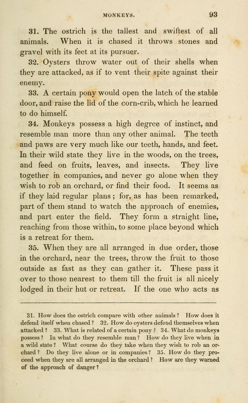 31. The ostrich is the tallest and swiftest of all animals. When it is chased it throws stones and gravel with its feet at its pursuer. 32. Oysters throw water out of their shells when they are attacked, as if to vent their spite against their enemy. 33. A certain pony would open the latch of the stable door, and raise the lid of the corn-crib, which he learned to do himself. 34. Monkeys possess a high degree of instinct, and resemble man more than any other animal. The teeth and paws are very much like our teeth, hands, and feet. In their wild state they live in the woods, on the trees, and feed on fruits, leaves, and insects. They live together in companies, and never go alone when they wish to rob an orchard, or find their food. It seems as if they laid regular plans ; for, as has been remarked, part of them stand to watch the approach of enemies, and part enter the field. They form a straight line, reaching from those within, to some place beyond which is a retreat for them. 35. When they are all arranged in due order, those in the orchard, near the trees, throw the fruit to those outside as fast as they can gather it. These pass it over to those nearest to them till the fruit is all nicely lodged in their hut or retreat. If the one who acts as 31. How does the ostrich compare with other animals ? How does it defend itself when chased ? 32. How do oysters defend themselves when attacked ? 33. What is related of a certain pony ? 34. What do monkeys possess ? In what do they resemble man ? How do they live when in a wild state ? What course do they take when they wish to rob an or- chard? Do they live alone or in companies? 35. How do they pro- ceed when they are all arranged in the orchard ? How are they warned of the approach of danger?