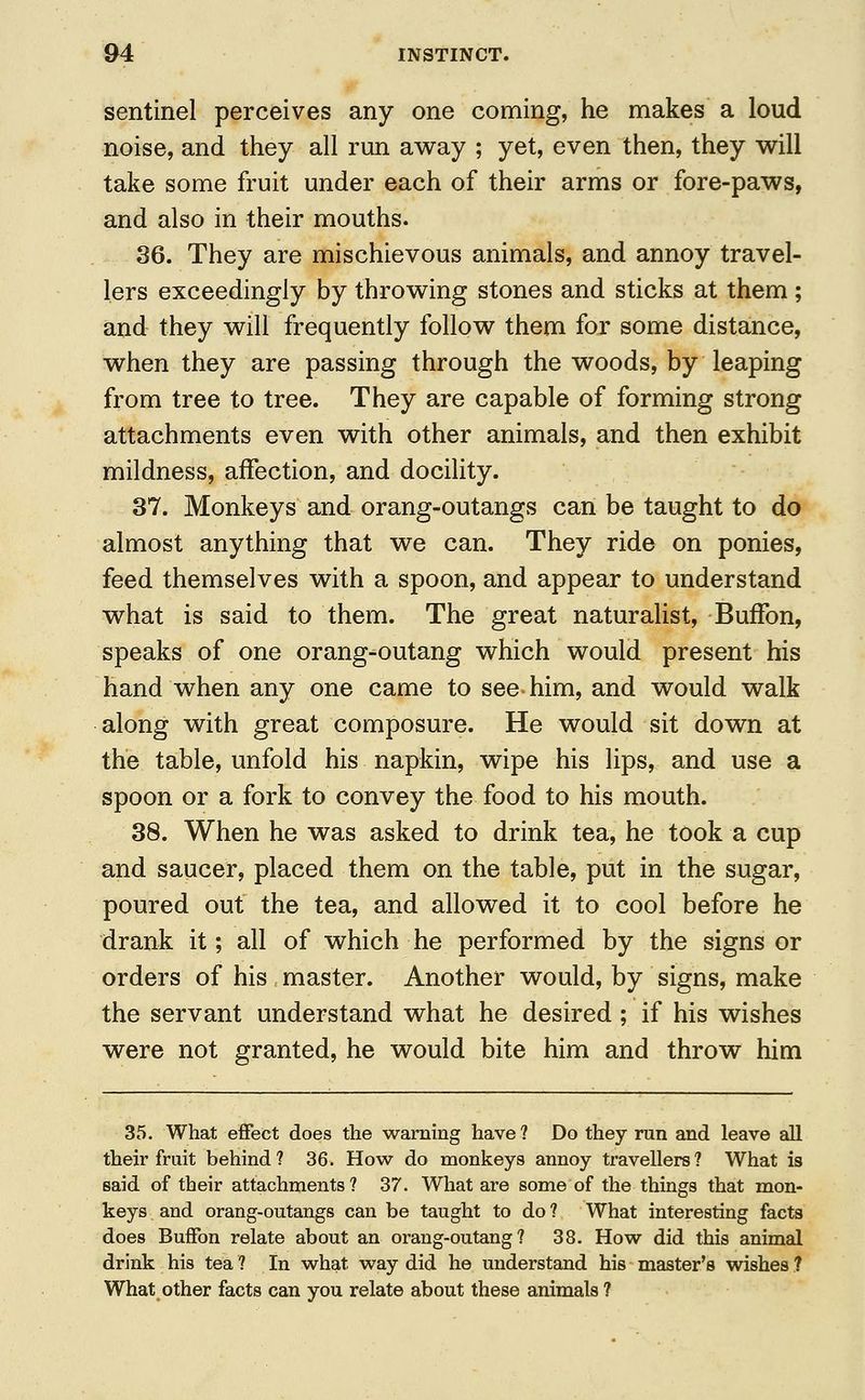 sentinel perceives any one coming, he makes a loud noise, and they all run away ; yet, even then, they will take some fruit under each of their arms or fore-paws, and also in their mouths. 36. They are mischievous animals, and annoy travel- lers exceedingly by throwing stones and sticks at them ; and they will frequently follow them for some distance, when they are passing through the woods, by leaping from tree to tree. They are capable of forming strong attachments even with other animals, and then exhibit mildness, affection, and docility. 37. Monkeys and orang-outangs can be taught to do almost anything that we can. They ride on ponies, feed themselves with a spoon, and appear to understand what is said to them. The great naturalist, BufFon, speaks of one orang-outang which would present his hand when any one came to see him, and would walk along with great composure. He would sit down at the table, unfold his napkin, wipe his lips, and use a spoon or a fork to convey the food to his mouth. 38. When he was asked to drink tea, he took a cup and saucer, placed them on the table, put in the sugar, poured out the tea, and allowed it to cool before he drank it; all of which he performed by the signs or orders of his master. Another would, by signs, make the servant understand what he desired; if his wishes were not granted, he would bite him and throw him 35. What effect does the warning have? Do they run and leave all their fruit behind? 36. How do monkeys annoy travellers? What is said of their attachments? 37. What are some of the things that mon- keys and orang-outangs can be taught to do ? What interesting facts does BufFon relate about an orang-outang? 38. How did this animal drink his tea ? In what way did he understand his master's wishes ? What other facts can you relate about these animals?