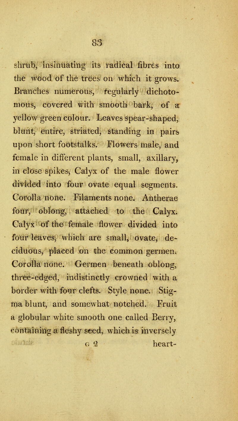 shrub, insinuating its radical fibres into the wood of the trees on which it grows. Branches numerous, fegularly dichoto- nious, covered with smooth bark, of a yellow green colour. Leaves spear-shaped, blunt, entire, striated, standing in pairs upon short footstalks. Flowers male, and female in different plants, small, axillary, in close spikes^ Calyx of the male flower divided into four ovate equal segments. Corolla none. Filaments none. Antherae foiivY^' oblong, attached ^|0i:\A^<i Calyx. Calyx of the female flower divided into four leaves^ which are small, ovate, de- ciduous, placed on the common germen* Corolla none. Germen beneath oblong, three-edged, indistinctly crowned with a border with four clefts. Style none. Stig- ma blunt, and somewhat notched. Fruit a globular white smooth one called Berry, containing a fleshy s€ed, which is inversely G Q heart-