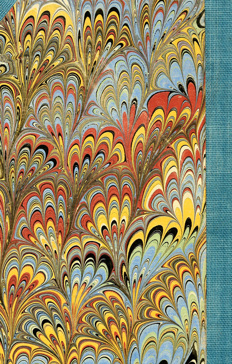 No text description is available for this image