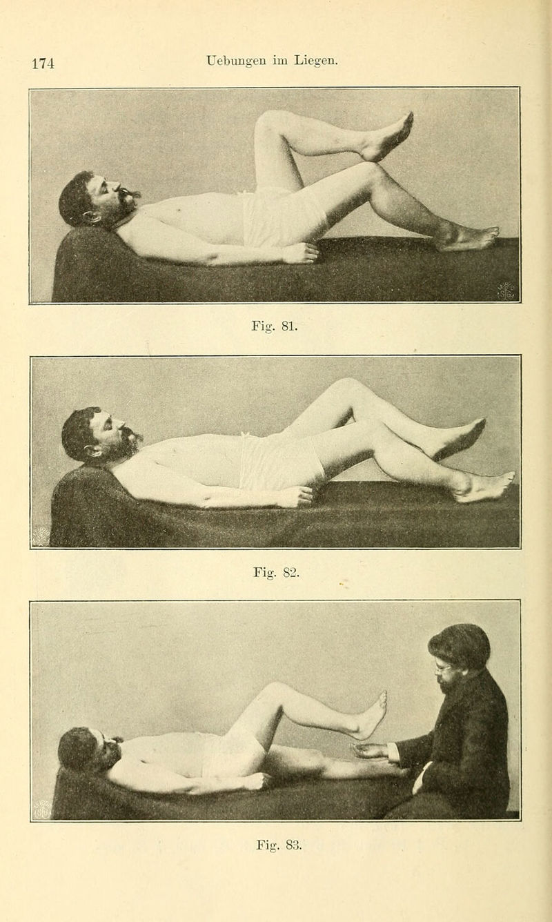 Fi^. 81. Fi^. 82. FiiT. 8;{.