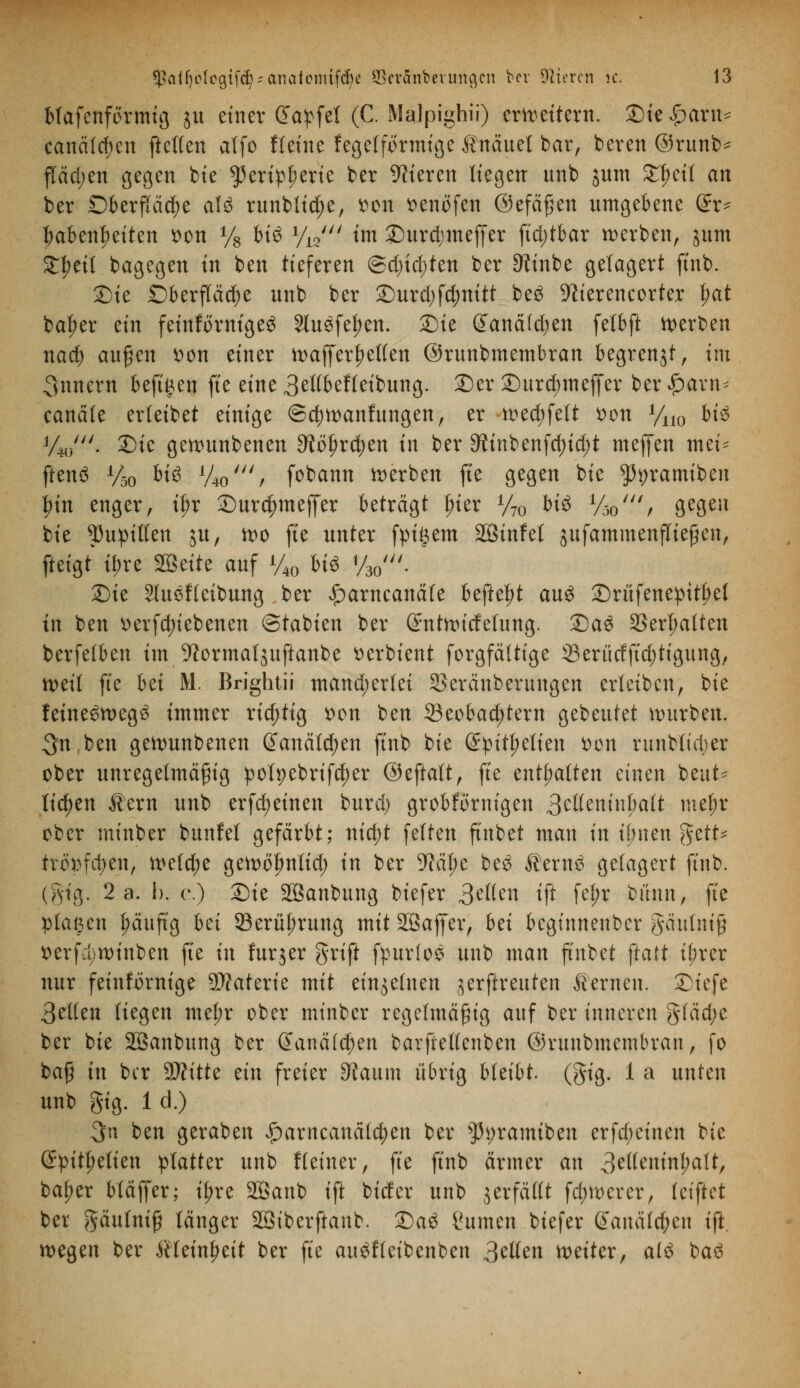 blafenförmig 51t einer dapfel (C. Malpighii) erweitern. Die£anu canäfdmt ftctlen alfo fleine fegefförmige tnäuet bar, bereu ©runb* fläd;en gegen bte $eripf)erie ber Vieren liegen ttnb jum SKfjeü an ber Oberfläche als runblid;e, sott senöfen ©efäßen umgebene ®t* Habenseiten wn % bte 1/^n im ©urdjmeffer ftd;tbar werben, sunt Streit bagegeu in beu tiefereu @d)id)ten ber ^inbe gelagert finb. Sie Oberfläche unb ber ©urdjfdjnitt beS -ftierencorter fyat ba^er ein feinförnigeS 2lu$fe|)en. Sie Qfanäldjen felbft werben nad) außen tton einer wajferf?etfen ©runbmembran begrenzt, im Innern beft^en fte eine 3ellbeffeibung. ©er £)urd;meffer ber£avn* canäte erteibet einige ©cbwanfungen, er wed;felt *>on y110 bi$ %/« 25tc gewunbenen 9tol)rd)en in ber 9iinbenfd)id)t meffen mei- ftenS y50 biö W/ fobann werben fte gegen bie ^tyramiben l^iu enger, t|>r ©urc^mejfer beträgt |>ier y70 bis W/ gegen bie Pupillen ju, wo fte unter fpi^em Sßinfel jufammenfließen, fteigt* il;re mitt auf V40 bis y3o'. Die SluSlleibung ber £>arncanäle befte^t aus £)ritfene:pttf;el in beu »ergebenen ©tabien ber ßnttwicfelung. 2)aS 23erl;alten berfefben im ^ormaljuftanbe t>erbxent forgfältige ©erürfftd)tigung, weil fte bü M Brightü mand;erlei SSeräuberungen erleiben, bie feineSwegS immer richtig $on beu 33eobad?tern gebeutet würben. 3n beu gewunbenen (£anäld)en ftnb bie @pitt;etien $on runblid)er ober unregelmäßig polpebrifdjer ©eftatt, fte entsaften einen beut- tiefen Äern unb erfcfyeinen burd) grobförnigen 3cttentnpalt mel;r ober minber bunfel gefärbt; ntd>t feiten ftnbet man in il;nen %ztU tröttfdjen, welche gewöfmlid; in ber 9?ät;e beS ÄernS gelagert ftnb. (%i$. 2 a. I). e.) Sie SÖanbung biefer Bellen ift fel;r bünn, fte ptaßen Ijmuftg bti 23erül;rung mit Söaffer, bä beginnenber gäulm'ß x>erf;l)tt)tnben fte in lurjer grift fpurfoS unb man ftnbet ftatt i^rer nur feinförnige Materie mit einzelnen jerftreuten fernen, £iefe 3etten liegen mef;r ober minber regelmäßig auf ber inneren gfäd;e ber bie SÖanbung ber Qanäld)tn barftellenben ©runbmembran, fo baß in ber 9J?itte ein freier 9taum übrig bleibt (gig. 1 a unten unb gig. 1 d.) $n ben geraben £arneanäld;en ber s#i)ramiben erfd;einen bie (£pitl;etien platter unb fleiner, fte ftnb ärmer an Betfenmljalt, bal;er bläffer; i^re 2Öanb ift biefer unb jerfällt fd;wcver, tetftet bei gäulniß länger Söiberftanb. £)aS turnen biefer @auäfd;en ift wegen ber Jtleinljeit ber fte auSffeibenben 3elten weiter, a(S baS