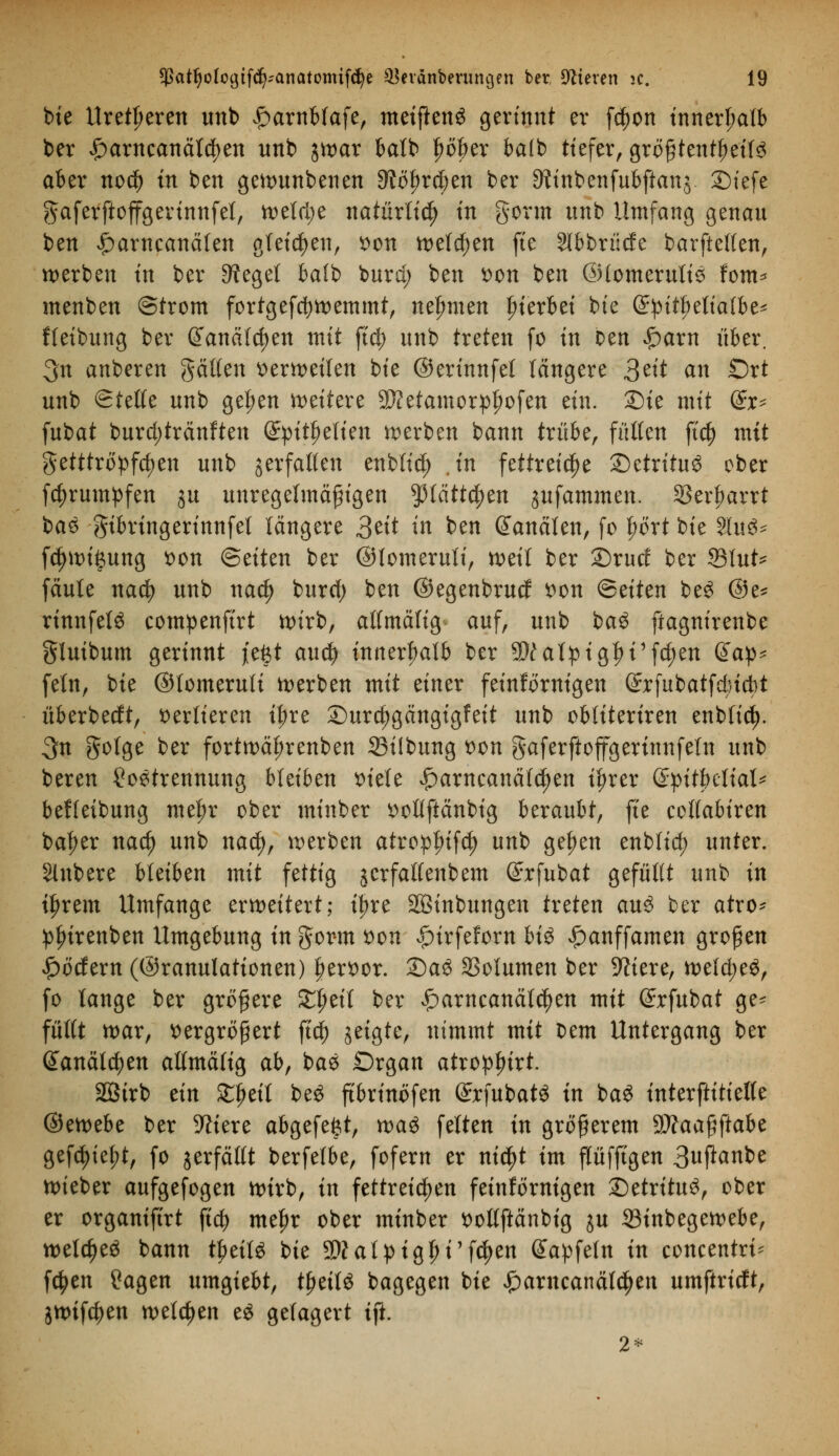 bie Urethren unb £>arnbfafe, meiftenö gerinnt er fdjon innerhalb ber £arncanäld)en unb ^war balb fwber balb tiefer, größtenteils aber no$ tn ben gewunbenen 9iöl?rd)en ber 3?inbenfubftanj ©iefe gaferftoffgerinnfel, weld;e natürltd) tn gönn unb Umfang genau ben £arncanälen gleiten, *>on weld;en fte Slbbriicfe barftellen, werben tn ber Siegel balb burd; ben von ben ©lomeruliS fom* menben ©trom fortgefdjwemmt, neunten Sterbet bte (£:pitf)etialbe* fleibung ber @anäfd)en mit ftd; unb treten fo in oen Spam über. 3n anberen gälten verweilen bte ©erinnfet längere 3tit an Ort unb Stelle unb gel;en weitere SRetamorpjjofen ein. Sie mit (£x* fubat burd;tränlten (Spitzelten werben bann trübe, füllen ftcf) mit getttröpfd>en unb verfallen enblic^ .in fettreiche £)etritu£ ober fc^rumpfen ju unregelmäßigen $fättd;en gufammen. Sßerfmrrt baz gibringerinnfet längere Stit in ben ©analen, fo l)ört bie l\u& fdjwi&ung t>on ©eiten ber ©lomeruli, weit ber 2)rurf ber Slut* faule naä) unb nafy burd; ben ©egenbrutf von (Bäten be3 ©e* rinnfelä compenftrt wirb, alfmäfig auf, unb baS ftagnirenbe gluibum gerinnt jefet aud) innerhalb ber 3tt alpigjn1fd;en Qap* fein, bie ©tomeruli werben mit einer feinfornigen ©rfubatfcbicbt überbeeft, verlieren t|)re Surc^gängigfeit unb obliteriren enbfid). 3n golge ber fortwäfjrenben 23ilbung t>on gaferftoffgerinnfeln unb bereu £o3trennung bleiben »tele £arncanäfd)en tl;rer (EpitUliaU beffeibung mefjr ober minber v>otlftänbig beraubt, fte coflabiren baf)er nad) unb nad), werben atropfufd) unb gef)en enblid; unter. Slnbere bleiben mit fettig jcrfatlenbem ©rfubat gefüllt unb in tljrem Umfange erweitert; ifjre SBinbungen treten au£ ber atro- plrirenben Umgebung in gorm $on ^»irfeforn bi$ £anffamen großen ködern (©ranulationen) f)ert>or. £)a$ SSolumen ber -ftiere, weld;eö, fo lange ber größere £f>eit ber £>arncanäl$en mit (£rfubat ge- füllt war, vergrößert ftd) geigte, nimmt mit Dem Untergang ber ©anätzen alfmäfig ab, bas Organ atroplnrt. SSirb tin Zfytil be3 ftbrinöfen (£tfubat3 in baö tnterftitielfe ®mtht ber -fttere abgefegt, tvaü feiten in größerem 9Jlaa$(taht gefc|)ief)t, fo jerfätlt berfelbe, fofern er ni$t im flüfftgen 3uflanbe wieber aufgefogen wirb, tn fettreichen feinfornigen 2)etritu3, ober er organiftrt ftd) mef)r ober minber voltftänbtg ju ©inbegewebe, weites bann tytiU bie SÄatpigfu'f^en Gtapfetn in Concentrin fetyen £agen umgiebt, tfjeitS bagegen bie £amcanäld)en umftrieft, jwtfc^en welchen e£ gelagert tji. 2*