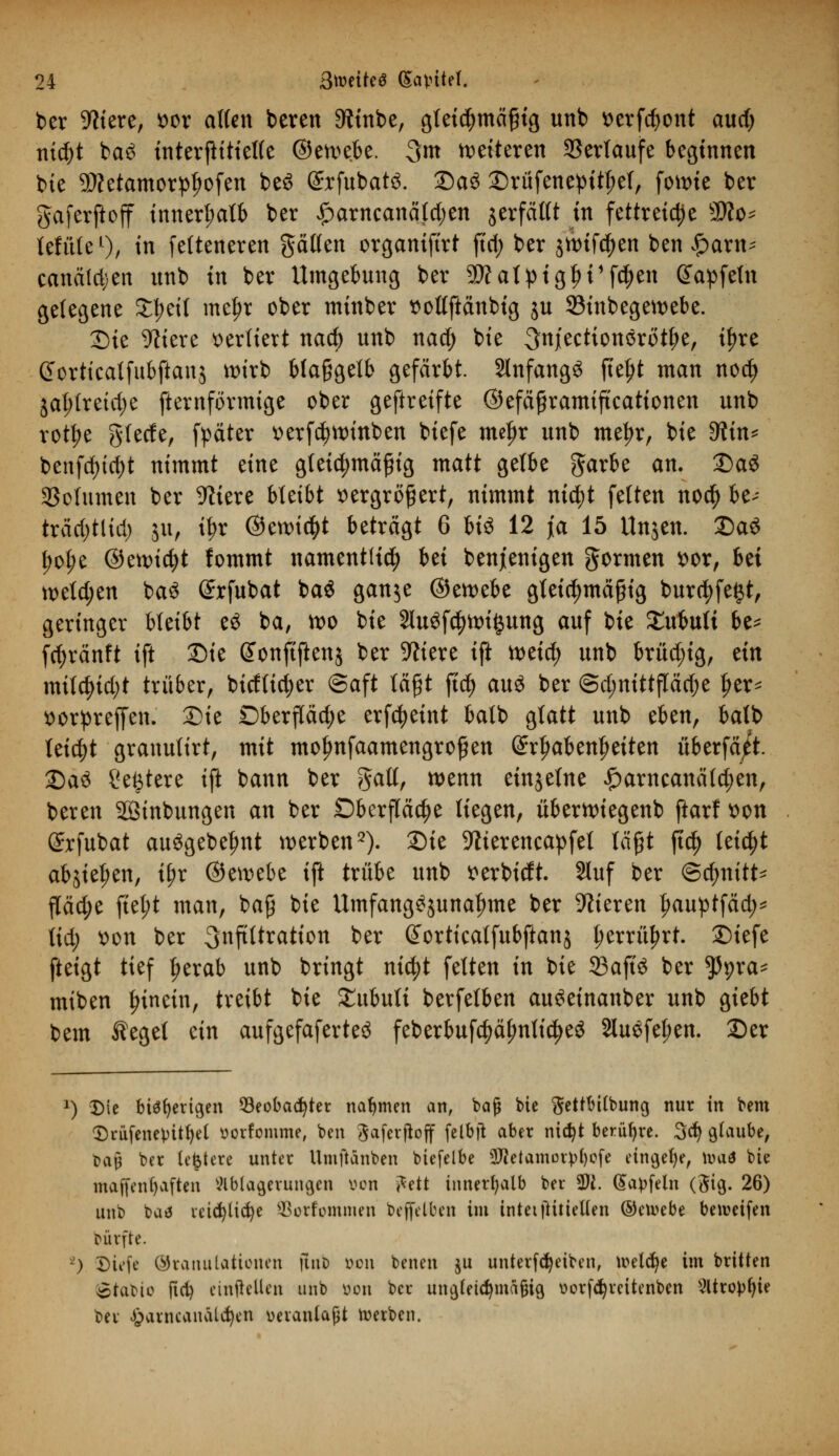 ber -Kiere, t>or alten bereit 9tinbe, gleichmäßig unb verfd)ont aud) nid)t ba£ interfHtielfe ©etvebe. 3w vetteren Verlaufe beginnen bie Sttetamorptjofen beS ©rfubats. 2)aö Drüfenepitl?el, fotvie ber gaferjioff innerhalb ber £arneanäld;en gerfälft in fettreiche 2Äo* tefütel)/ tn felteneren gälten orgamftrt ftd; ber gttnfdjen ben Jpaxn* ccmald;en unb in ber Umgebung ber 9#al>tgfn1f$en (Japfeln gelegene SEJrit mcjjt ober minber volfftänbig gu 33inbegett>ebe. Die öftere verliert nacfe unb nad) bie ^ttjt'ectionörötfje, if>re üorticalfubftang wirb blaßgelb gefärbt Slnfangö jte^t man nod) jal;lretct)e fternformige ober geftreifte ©efäßramiftcationen unb rottye gierte, fpäter verfcfyrvinben biefe meljr unb meljr, bie diin* benfdjtdjt nimmt eine gleichmäßig matt gelbe garbe an. DaS gSolumen ber öftere bUibt vergrößert, nimmt nid)t feiten no$ 6e>- träd)tlid) gu, tf>r ©etvictyt beträgt 6 U$ 12 ja 15 Ungen. DaS t)ot;e ©etvic^t lommt namentlich bei benjenigen formen vor, Ui tvetd;en baS Srfubat ba$ gange ©etvebe gleichmäßig bürdet, geringer bleibt e$ ba, tt>o bie 2lu$f$ttu§ung auf bie £ubu(t be* fd)ränft ift Die Sonfifteng ber öftere ift tt)eicf) unb brüchig, tin milcf>id)t trüber, birtfidjer (Saft läßt ftd) auö ber @d;nittjTäd)e fjer- vorprejfen. Die Dberflädje erfdjeint balb glatt unb eben, balb leidjt granulirt, mit molwfaamengroßen (Srl>abenl)eiten uberfä/t. Qaü Sefetere ift bann ber gall, wenn etngeine £arncanäld)en, beren Sinbungen an ber Oberfläche liegen, überttuegenb ftarf von ßrrfubat au3gebel)nt werben2). Die üftierencapfet läßt jtd) leicht abgießen, i^r @en>ebe ift trübe unb verbtdt. 2luf ber ©cfmitt- $äd)t ftel;t man, baß bie Umfang^gunafmte ber Vieren Ijauptfäd;* lid; von ber Infiltration ber @orticatfubftang ^errü^rt. Diefe fteigt tief fjerab unb bringt nicfyt feiten in bie 23afite ber *Ppra* miben hinein, treibt bie £ubuti berfelben au^einanber unb giebt beut Äegel ein aufgefaferteö feberbufdjäfmtidjeg Sluöfe^en. Der 2) Die biö^erigen 93eobacfyter nahmen an, bafj bie gettbilbung nur in bem CDrüfcnepit^eC üorfomme, ben gaferjtoff felbfl aber nidjt berühre. 3cr) glaube, bajj ber ledere unter Umftänben biefelbe 9ftetamorp()ofe eingebe, n>a<* bte maffenfyaften Ablagerungen von i*ett innerhalb ber 2Ji. (Sapfeln (gtg. 26) unb ba* ieid)ltcr;e Sorfommen befielben im inteiftüietten ©ewebe bereifen Dürfte. 0 Biefe Granulationen ftno »on benen ju unterfdjetben, treibe im brüten Statte ficfy einteilen unb von ber ungletcfymäjHg, üorfd^reitenben 5ltropt)ie ber §arncanalcfyen uerantajH Werben.