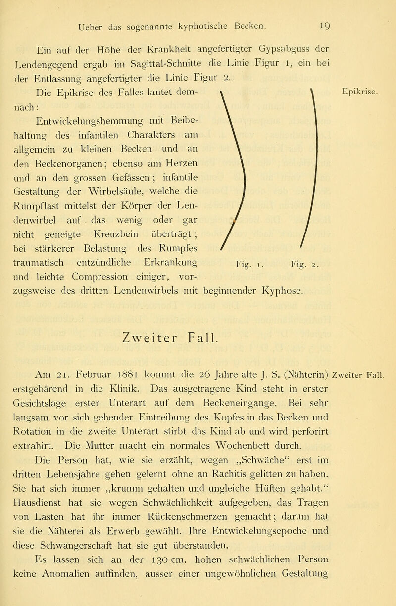 Ein auf der Höhe der Krankheit angefertigter Gypsabguss der Lendengegend ergab im Sagittal-Schnitte die Linie Figur l, ein bei der Entlassung angefertigter die Linie Figur 2. Die Epikrise des Falles lautet dem- \ \ Epikrise, nach: Entwicklungshemmung mit Beibe- haltung des infantilen Charakters am allgemein zu kleinen Becken und an den Beckenorganen; ebenso am Herzen und an den grossen Gefässen; infantile Gestaltung der Wirbelsäule, welche die Rumpflast mittelst der Körper der Len- denwirbel auf das wenig oder gar nicht geneigte Kreuzbein überträgt ; bei stärkerer Belastung des Rumpfes traumatisch entzündliche Erkrankung Fig. i. Fig. 2. und leichte Compression einiger, vor- zugsweise des dritten Lendenwirbels mit beginnender Kyphose. Zweiter Fall. Am 21. Februar 1881 kommt die 26 Jahre alte J. S. (Nähterin) Zweiter Fall, erstgebärend in die Klinik. Das ausgetragene Kind steht in erster Gesichtslage erster Unterart auf dem Beckeneingange. Bei sehr langsam vor sich gehender Eintreibung des Kopfes in das Becken und Rotation in die zweite Unterart stirbt das Kind ab und wird perforirt extrahirt. Die Mutter macht ein normales Wochenbett durch. Die Person hat, wie sie erzählt, wegen „Schwäche erst im dritten Lebensjahre gehen gelernt ohne an Rachitis gelitten zu haben. Sie hat sich immer ,,krumm gehalten und ungleiche Hüften gehabt. Hausdienst hat sie wegen Schwächlichkeit aufgegeben, das Tragen von Lasten hat ihr immer Rückenschmerzen gemacht; darum hat sie die Nähterei als Erwerb gewählt. Ihre Entwickelungsepoche und diese Schwangerschaft hat sie gut überstanden. Es lassen sich an der 130 cm. hohen schwächlichen Person keine Anomalien auffinden, ausser einer ungewöhnlichen Gestaltung