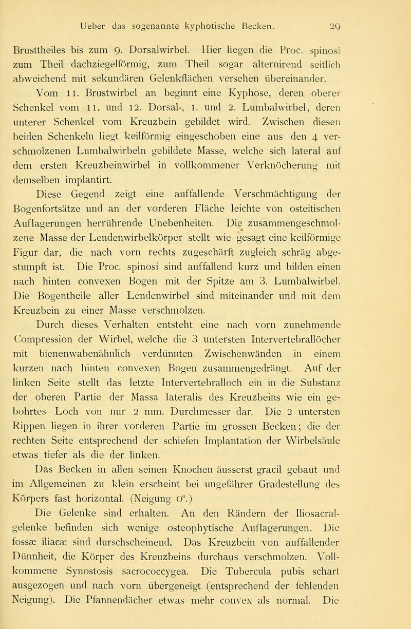 Brusttheiles bis zum 9. Dorsalwirbel. Hier liegen die Proc. spinosi zum Theil dachziegelförmig, zum Theil sogar alternirend seitlich abweichend mit sekundären Gelenkflächen versehen übereinander. Vom 11. Brustwirbel an beginnt eine Kyphose, deren oberer Schenkel vom 11. und 12. Dorsal-, l. und 2. Lumbalwirbel, deren unterer Schenkel vom Kreuzbein gebildet wird. Zwischen diesen beiden Schenkeln liegt keilförmig eingeschoben eine aus den 4 ver- schmolzenen Lumbaiwirbeln gebildete Masse, welche sich lateral auf dem ersten Kreuzbeinwirbel in vollkommener Verknöcherung mit demselben implantirt. Diese Gegend zeigt eine auffallende Verschmächtigung der BoRenfortsätze und an der vorderen Fläche leichte von osteitischen Auflagerungen herrührende Unebenheiten. Die zusammengeschmol- zene Masse der Lendenwirbelkörper stellt wie gesagt eine keilförmige Figur dar, die nach vorn rechts zugeschärft zugleich schräg abge- stumpft ist. Die Proc. spinosi sind auffallend kurz und bilden einen nach hinten convexen Bogen mit der Spitze am 3. Lumbalwirbel. Die Bogentheile aller Lendenwirbel sind miteinander und mit dem Kreuzbein zu einer Masse verschmolzen. Durch dieses Verhalten entsteht eine nach vorn zunehmende Compression der Wirbel, welche die 3 untersten Intervertebrallöcher mit bienenwabenähnlich verdünnten Zwischenwänden in einem kurzen nach hinten convexen Bogen zusammengedrängt. Auf der linken Seite stellt das letzte Intervertebralloch ein in die Substanz der oberen Partie der Massa lateralis des Kreuzbeins wie ein ge- bohrtes Loch von nur 2 mm. Durchmesser dar. Die 2 untersten Rippen liegen in ihrer vorderen Partie im grossen Becken; die der rechten Seite entsprechend der schiefen Implantation der Wirbelsäule etwas tiefer als die der linken. Das Becken in allen seinen Knochen äusserst gracil gebaut und im Allgemeinen zu klein erscheint bei ungefährer Gradestellung des Körpers fast horizontal. (Neigung 0°.) Die Gelenke sind erhalten. An den Rändern der Iliosacral- gelenke befinden sich wenige osteophytische Auflagerungen. Die fossae iliacae sind durchscheinend. Das Kreuzbein von auffallender Dünnheit, die Körper des Kreuzbeins durchaus verschmolzen. Voll- kommene Synostosis sacrococcygea. Die Tubercula pubis schart ausgezogen und nach vorn übergeneigt (entsprechend der fehlenden Neigung). Die Pfannendächer etwas mehr convex als normal. Die