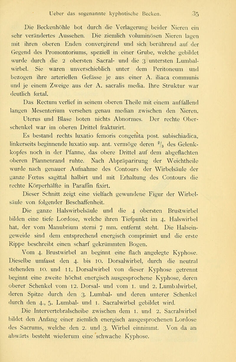Die Beckenhöhle bot durch die Verlagerung beider Nieren ein sehr verändertes Aussehen. Die ziemlich voluminösen Nieren lagen mit ihren oberen Enden convergirend und sich berührend auf der Gegend des Promontoriums, speziell in einer Grube, welche gebildet wurde durch die 2 obersten Sacral- und die 3 untersten Lumbai- wirbel. Sie waren unverschieblich unter dem Peritoneum und bezogen ihre arteriellen Gefässe je aus einer A. iliaca communis und je einem Zweige aus der A. sacralis media. Ihre Struktur war deutlich fcetal. Das Rectum verlief in seinem oberen Theile mit einem auffallend langen Mesenterium versehen genau median zwischen den Nieren. Uterus und Blase boten nichts Abnormes. Der rechte Ober- schenkel war im oberen Drittel frakturirt. Es bestand rechts luxatio femoris congenita post. subischiadica, linkerseits beginnende luxatio sup. ant. vermöge deren 2/3 des Gelenk- kopfes noch in der Pfanne, das obere Drittel auf dem abgeflachten oberen Pfannenrand ruhte. Nach Abpräparirung der Weichtheile wurde nach genauer Aufnahme des Contours der Wirbelsäule der ganze Fcetus sagittal halbirt und mit Erhaltung des Contours die rechte Körperhälfte in Paraffin fixirt. Dieser Schnitt zeigt eine vielfach gewundene Figur der Wirbel- säule von folgender Beschaffenheit. Die ganze Halswirbelsäule und die 4 obersten Brustwirbel bilden eine tiefe Lordose, welche ihren Tiefpunkt im 4. Halswirbel hat, der vom Manubrium sterni 7 mm. entfernt steht. Die Halsein- geweide sind dem entsprechend energisch comprimirt und die erste Rippe beschreibt einen scharf gekrümmten Bogen. Vom 4. Brustwirbel an beginnt eine flach angelegte Kyphose. Dieselbe umfasst den 4. bis 10. Dorsalwirbel, durch die neutral stehenden 10. und 11. Dorsalwirbel von dieser Kyphose getrennt beginnt eine zweite höchst energisch ausgesprochene Kyphose, deren oberer Schenkel vom 12. Dorsal- und vom 1. und 2. Lumbaiwirbel, deren Spitze durch den 3. Lumbal- und deren unterer Schenkel durch den 4., 5. Lumbal- und l. Sacralwirbel gebildet wird. Die Intervertebralscheibe zwischen dem 1. und 2. Sacralwirbel bildet den Anfang einer ziemlich energisch ausgesprochenen Lordose des Sacrums, welche den 2. und 3. Wirbel einnimmt. Von da an abwärts besteht wiederum eine schwache Kyphose.