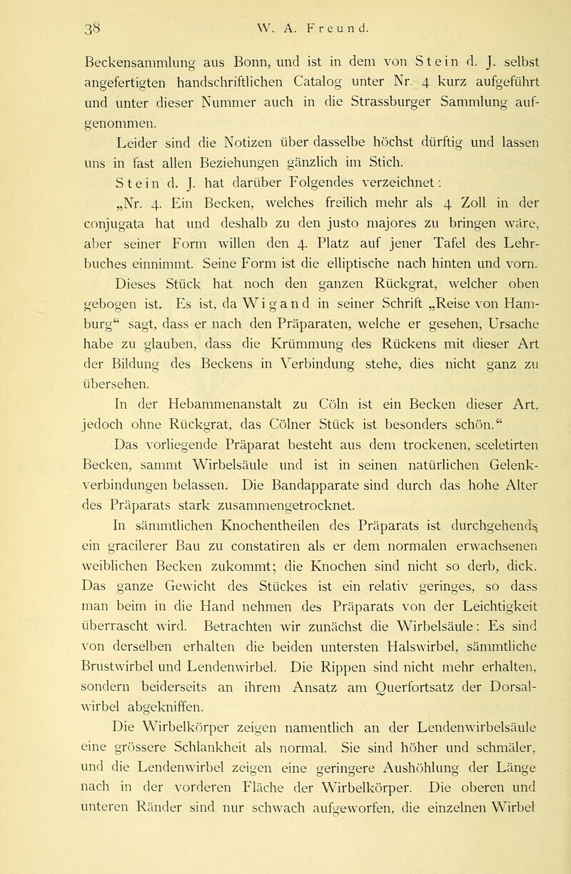 Beckensammlung aus Bonn, und ist in dem von Stein d. J. selbst angefertigten handschriftlichen Catalog unter Nr. 4 kurz aufgeführt und unter dieser Nummer auch in die Strassburger Sammlung auf- genommen. Leider sind die Notizen über dasselbe höchst dürftig und lassen uns in fast allen Beziehungen gänzlich im Stich. Stein d. J. hat darüber Folgendes verzeichnet: „Nr. 4. Ein Becken, welches freilich mehr als 4 Zoll in der conjugata hat und deshalb zu den justo majores zu bringen wäre, aber seiner Form willen den 4. Platz auf jener Tafel des Lehr- buches einnimmt. Seine Form ist die elliptische nach hinten und vorn. Dieses Stück hat noch den ganzen Rückgrat, welcher oben gebogen ist. Es ist, da W i g a n d in seiner Schrift „Reise von Ham- burg sagt, dass er nach den Präparaten, welche er gesehen, Ursache habe zu glauben, dass die Krümmung des Rückens mit dieser Art der Bildung des Beckens in Verbindung stehe, dies nicht ganz zu übersehen. In der Hebammenanstalt zu Cöln ist ein Becken dieser Art, jedoch ohne Rückgrat, das Cölner Stück ist besonders schön. Das vorliegende Präparat besteht aus dem trockenen, sceletirten Becken, sammt Wirbelsäule und ist in seinen natürlichen Gelenk- verbindungen belassen. Die Bandapparate sind durch das hohe Alter des Präparats stark zusammengetrocknet. In sämmtlichen Knochentheilen des Präparats ist durchgehends. ein gracilerer Bau zu constatiren als er dem normalen erwachsenen weiblichen Becken zukommt; die Knochen sind nicht so derb, dick. Das ganze Gewicht des Stückes ist ein relativ geringes, so dass man beim in die Hand nehmen des Präparats von der Leichtigkeit überrascht wird. Betrachten wir zunächst die Wirbelsäule: Es sind von derselben erhalten die beiden untersten Halswirbel, sämmtliche Brustwirbel und Lendenwirbel. Die Rippen sind nicht mehr erhalten, sondern beiderseits an ihrem Ansatz am Ouerfortsatz der Dorsal- wirbel abgekniffen. Die Wirbelkörper zeigen namentlich an der Lendenwirbelsäule eine grössere Schlankheit als normal. Sie sind höher und schmäler, und die Lendenwirbel zeigen eine geringere Aushöhlung der Länge nach in der vorderen Fläche der Wirbelkörper. Die oberen und unteren Ränder sind nur schwach aufgeworfen, die einzelnen Wirbel