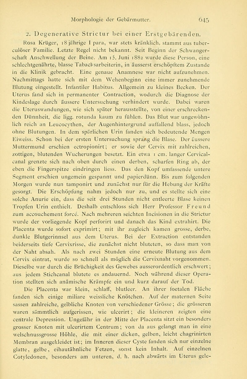 2. Degenerative Strictur bei einer Erstgebärenden. Rosa Krüger, 18 jährige I para, war stets kränklich, stammt aus tuber- culöser Familie. Letzte Regel nicht bekannt. Seit Beginn der Schwanger- schaft Anschwellung der Beine. Am i5. Juni 1882 wurde diese Person, eine schlechtgenährte, blasse Tabacksarbeiterin, in äusserst erschöpftem Zustande in die Klinik gebracht. Eine genaue Anamnese war nicht aufzunehmen. Nachmittags hatte sich mit dem Wehenbeginn eine immer zunehmende Blutung eingestellt. Infantiler Habitus. Allgemein zu kleines Becken. Der Uterus fand sich in permanenter Contraction, wodurch die Diagnose der Kindeslage durch äussere Untersuchung verhindert wurde. Dabei waren die Uteruswandungen, wie sich später herausstellte, von einer erschrecken- den Dünnheit, die ligg. rotunda kaum zu fühlen. Das Blut war ungewöhn- lich reich an Leucocythen, der Augenhintergrund auffallend blass, jedoch ohne Blutungen. In dem spärlichen Urin fanden sich bedeutende Mengen Eiweiss. Schon bei der ersten Untersuchung sprartg die Blase. Der äussere Muttermund erschien ectropionirt; er sowie der Cervix mit zahlreichen, zottigen, blutenden Wucherungen besetzt. Ein etwa 1 cm. langer Cervical- canal grenzte sich nach oben durch einen derben, scharfen Ring ab, der eben die Fingerspitze eindringen liess. Das den Kopf umfassende untere Segment erschien ungemein gespannt und papierdünn. Bis zum folgenden Morgen wurde nun tamponirt und zunächst nur für die Hebung der Kräfte gesorgt. Die Erschöpfung nahm jedoch nur zu, und es stellte sich eine solche Anurie ein, dass die seit drei Stunden nicht entleerte Blase keinen Tropfen Urin enthielt. Deshalb entschloss sich Herr Professor Freund zum accouchement force. Nach mehreren seichten Incisionen in die Strictur wurde der vorliegende Kopf perforirt und danach das Kind extrahirt. Die Placenta wurde sofort exprimirt; mit ihr zugleich kamen grosse, derbe, dunkle Blutgerinnsel aus dem Uterus. Bei der Extraction entstanden beiderseits tiefe Cervixrisse, die zunächst nicht bluteten, so dass man von der Naht absah. Als nach zwei Stunden eine erneute Blutung aus dem Cervix eintrat, wurde so schnell als möglich die Cervixnaht vorgenommen. Dieselbe war durch die Brüchigkeit des Gewebes ausserordentlich erschwert; aus jedem Stichcanal blutete es andauernd. Noch während dieser Opera- tion stellten sich anämische Krämpfe ein und kurz darauf der Tod. Die Placenta war klein, schlaff, blutleer. An ihrer foetalen Fläche fanden sich einige miliare weissliche Knötchen. Auf der maternen Seite sassen zahlreiche, gelbliche Knoten von verschiedener Grösse; die grösseren waren sämmtlich aufgerissen, wie ulcerirt; die kleineren zeigten eine centrale Depression. Ungefähr in der Mitte der Placenta sitzt ein besonders grosser Knoten mit ulcerirtem Centrum; von da aus gelangt man in eine welschnussgrosse Höhle, die mit einer dicken, gelben, leicht chagrinirten Membran ausgekleidet ist; im Inneren dieser Cyste fanden sich nur einzelne glatte, gelbe, eihautähnliche Fetzen, sonst kein Inhalt. Auf einzelnen Cotyledonen, besonders am unteren, d. h. nach abwärts im Uterus gele-