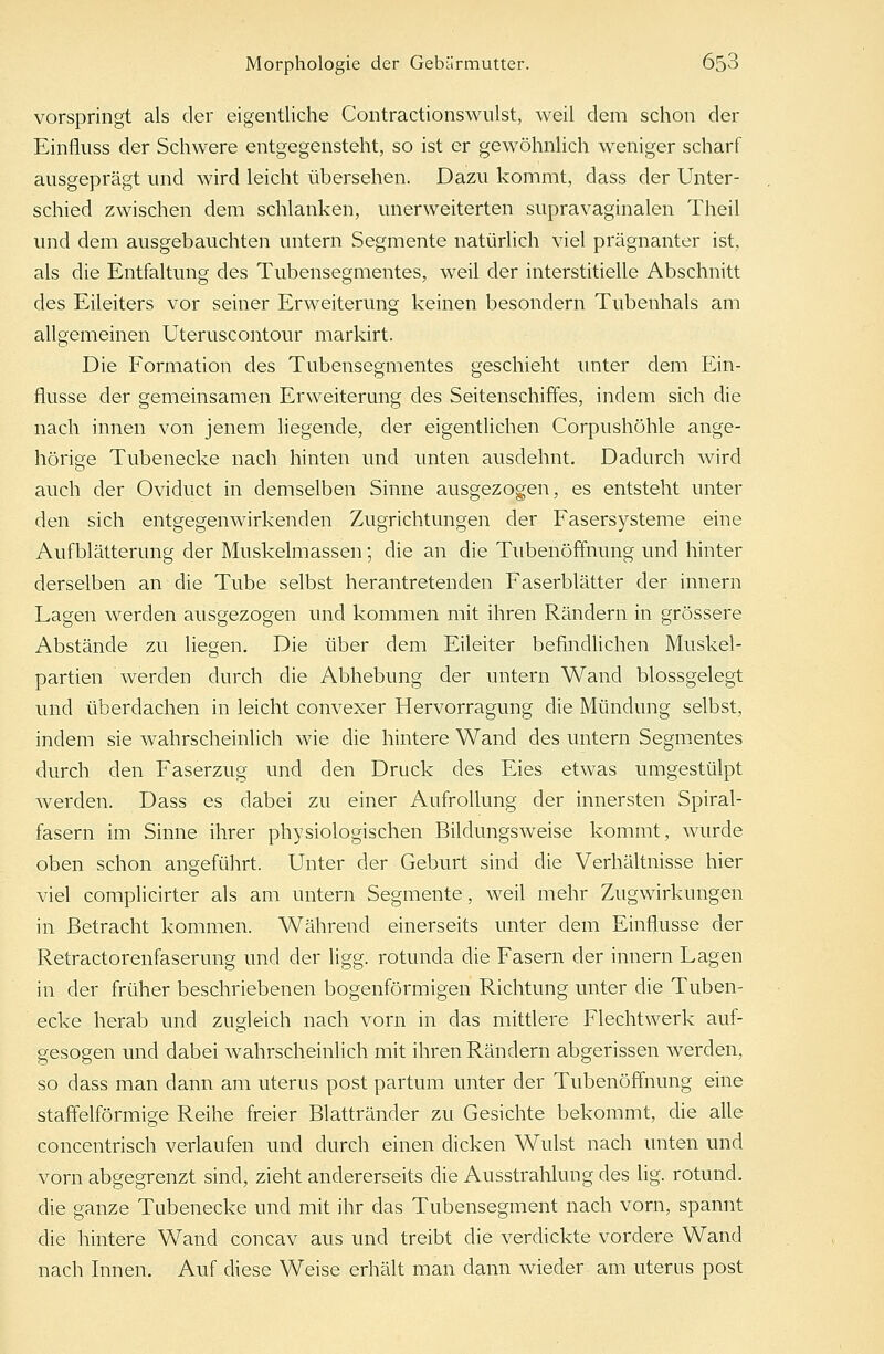 vorspringt als der eigentliche Contractionswulst, weil dem schon der Einfluss der Schwere entgegensteht, so ist er gewöhnlich weniger scharf ausgeprägt und wird leicht übersehen. Dazu kommt, dass der Unter- schied zwischen dem schlanken, unerweiterten supravaginalen Theil und dem ausgebauchten untern Segmente natürlich viel prägnanter ist, als die Entfaltung des Tubensegmentes, weil der interstitielle Abschnitt des Eileiters vor seiner Erweiterung keinen besondern Tubenhals am allgemeinen Uteruscontour markirt. Die Formation des Tubensegmentes geschieht unter dem Ein- flüsse der gemeinsamen Erweiterung des Seitenschiffes, indem sich die nach innen von jenem liegende, der eigentlichen Corpushöhle ange- hörige Tubenecke nach hinten und unten ausdehnt. Dadurch wird auch der Oviduct in demselben Sinne ausgezogen, es entsteht unter den sich entgegenwirkenden Zugrichtungen der Fasersysteme eine Aufblätterung der Muskelmassen; die an die Tubenöffnung und hinter derselben an die Tube selbst herantretenden Faserblätter der innern Lagen werden ausgezogen und kommen mit ihren Rändern in grössere Abstände zu liegen. Die über dem Eileiter befindlichen Muskel- partien werden durch die Abhebung der untern Wand blossgelegt und überdachen in leicht convexer Hervorragung die Mündung selbst, indem sie wahrscheinlich wie die hintere Wand des untern Segmentes durch den Faserzug und den Druck des Eies etwas umgestülpt werden. Dass es dabei zu einer Aufrollung' der innersten Spiral- fasern im Sinne ihrer physiologischen Bildungsweise kommt, wurde oben schon angeführt. Unter der Geburt sind die Verhältnisse hier viel complicirter als am untern Segmente, weil mehr Zugwirkungen in Betracht kommen. Während einerseits unter dem Einflüsse der Retractorenfaserung und der ligg. rotunda die Fasern der innern Lagen in der früher beschriebenen bogenförmigen Richtung unter die Tuben- ecke herab und zugleich nach vorn in das mittlere Flechtwerk auf- gesogen und dabei wahrscheinlich mit ihren Rändern abgerissen werden, so dass man dann am uterus post partum unter der Tubenöffnung eine staffeiförmige Reihe freier Blattränder zu Gesichte bekommt, die alle concentrisch verlaufen und durch einen dicken Wulst nach unten und vorn abgegrenzt sind, zieht andererseits die Ausstrahlung des lig. rotund. die ganze Tubenecke und mit ihr das Tubensegment nach vorn, spannt die hintere Wand concav aus und treibt die verdickte vordere Wand nach Innen. Auf diese Weise erhält man dann wieder am uterus post