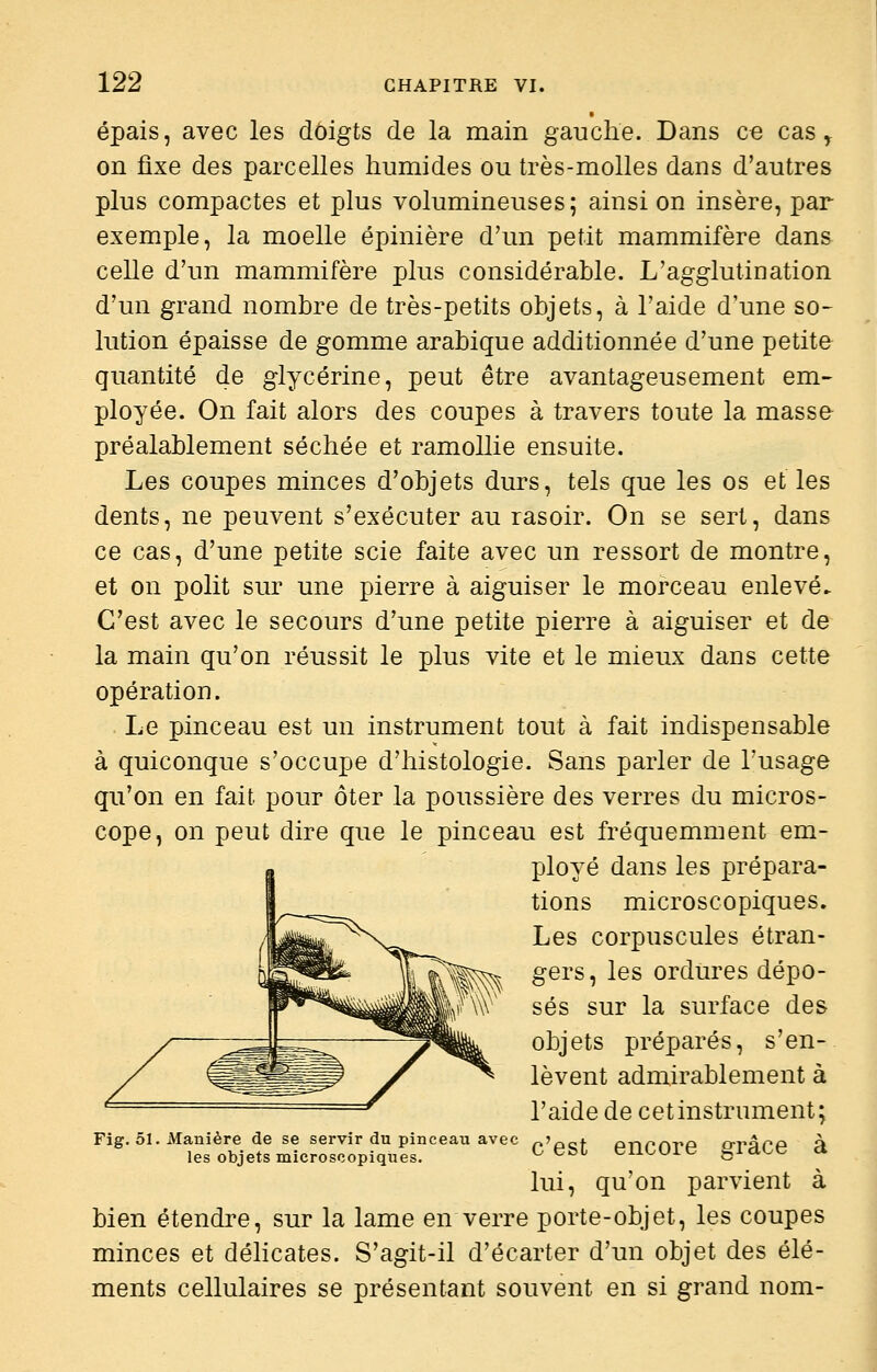 épais, avec les doigts de la main gauche. Dans ce cas ^ on fixe des parcelles humides ou très-molles dans d'autres plus compactes et plus volumineuses; ainsi on insère, par exemple, la moelle épinière d'un petit mammifère dans celle d'un mammifère plus considérable. L'agglutination d'un grand nombre de très-petits objets, à l'aide d'une so- lution épaisse de gomme arabique additionnée d'une petite quantité de glycérine, peut être avantageusement em- ployée. On fait alors des coupes à travers toute la masse préalablement séchée et ramollie ensuite. Les coupes minces d'objets durs, tels que les os et les dents, ne peuvent s'exécuter au rasoir. On se sert, dans ce cas, d'une petite scie faite avec un ressort de montre, et on polit sur une pierre à aiguiser le morceau enlevé- C'est avec le secours d'une petite pierre à aiguiser et de la main qu'on réussit le plus vite et le mieux dans cette opération. Le pinceau est un instrument tout à fait indispensable à quiconque s'occupe d'histologie. Sans parler de l'usage qu'on en fait pour ôter la poussière des verres du micros- cope, on peut dire que le pinceau est fréquemment em- ployé dans les prépara- tions microscopiques. Les corpuscules étran- gers, les ordures dépo- sés sur la surface des objets préparés, s'en- lèvent admirablement à l'aide de cet instrument; c'est encore grâce à lui, qu'on parvient à bien étendre, sur la lame en verre porte-objet, les coupes minces et délicates. S'agit-il d'écarter d'un objet des élé- ments cellulaires se présentant souvent en si grand nom- Fig. 51. Alanière de se servir du pinceau avec les objets microscopiques.